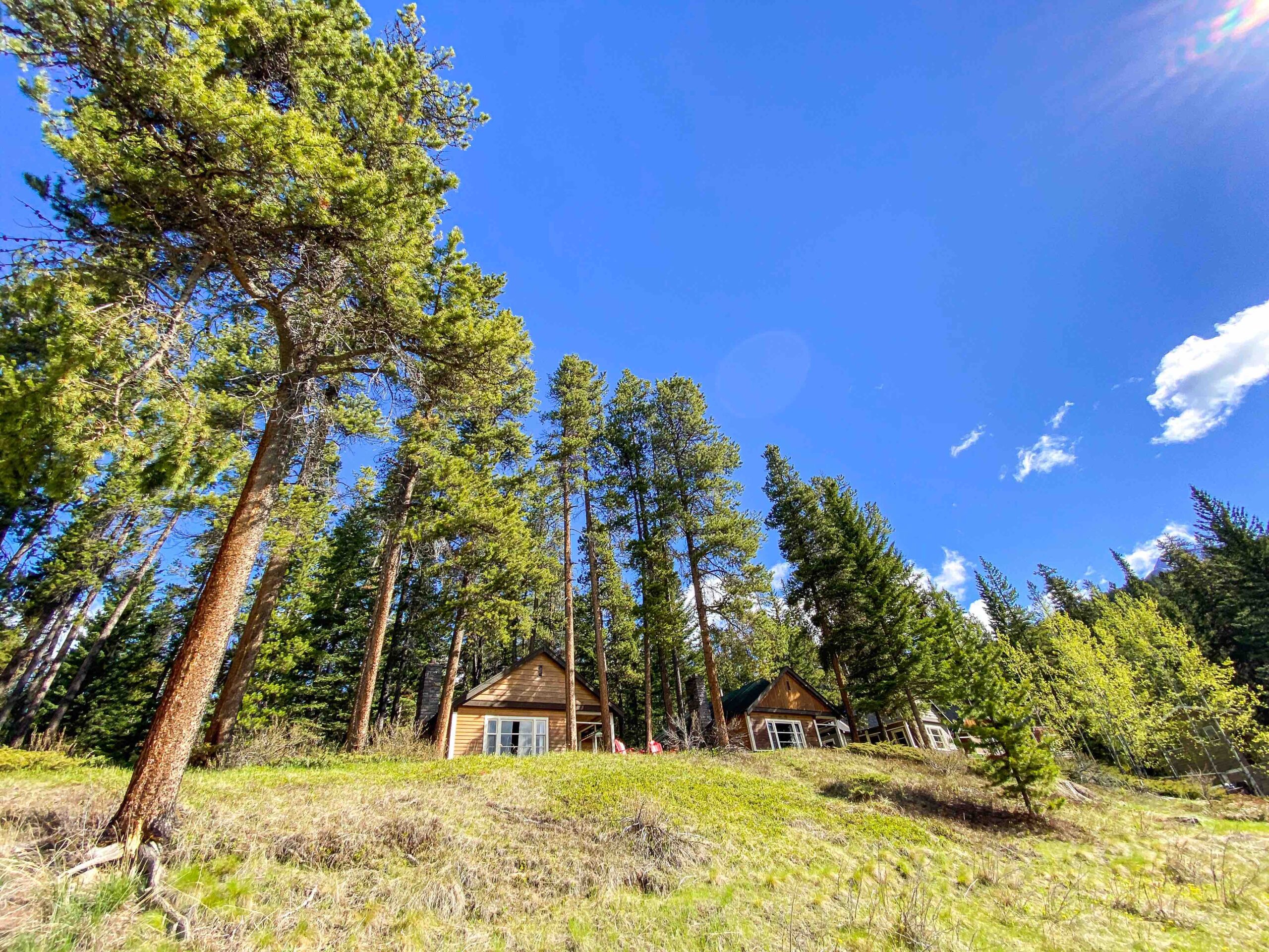 The cabins hidden amongst the tall trees, looking out to the mountains