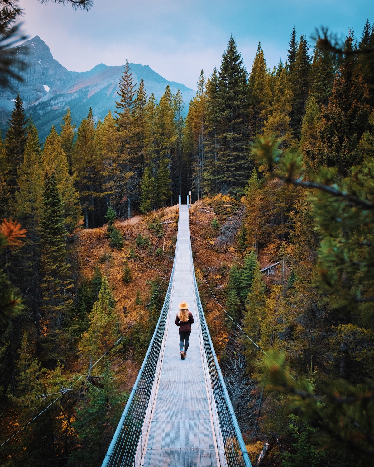 Blackshale Suspension Bridge in kananaskis 