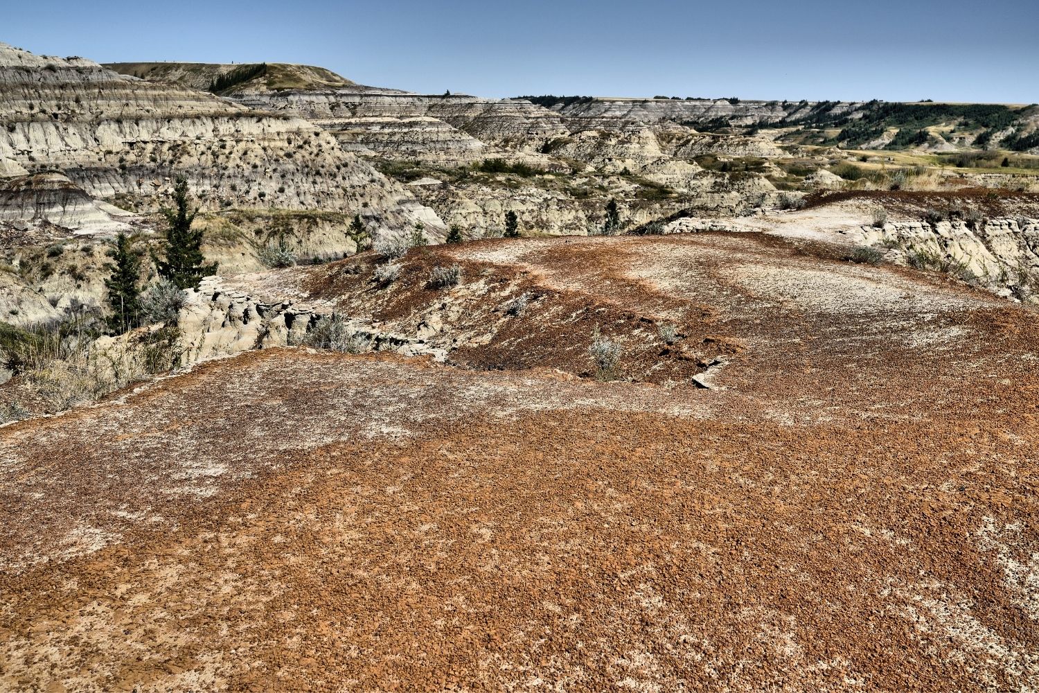 Dry Island Buffalo Jump Provincial Park