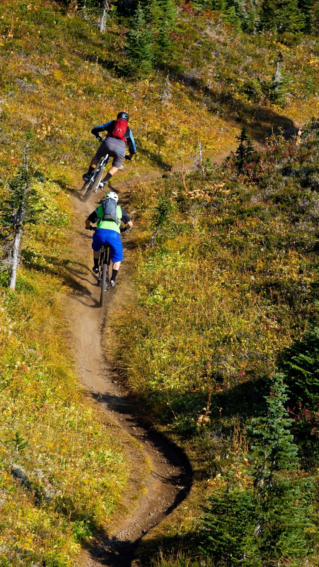 Kicking Horse Mountain Biking 