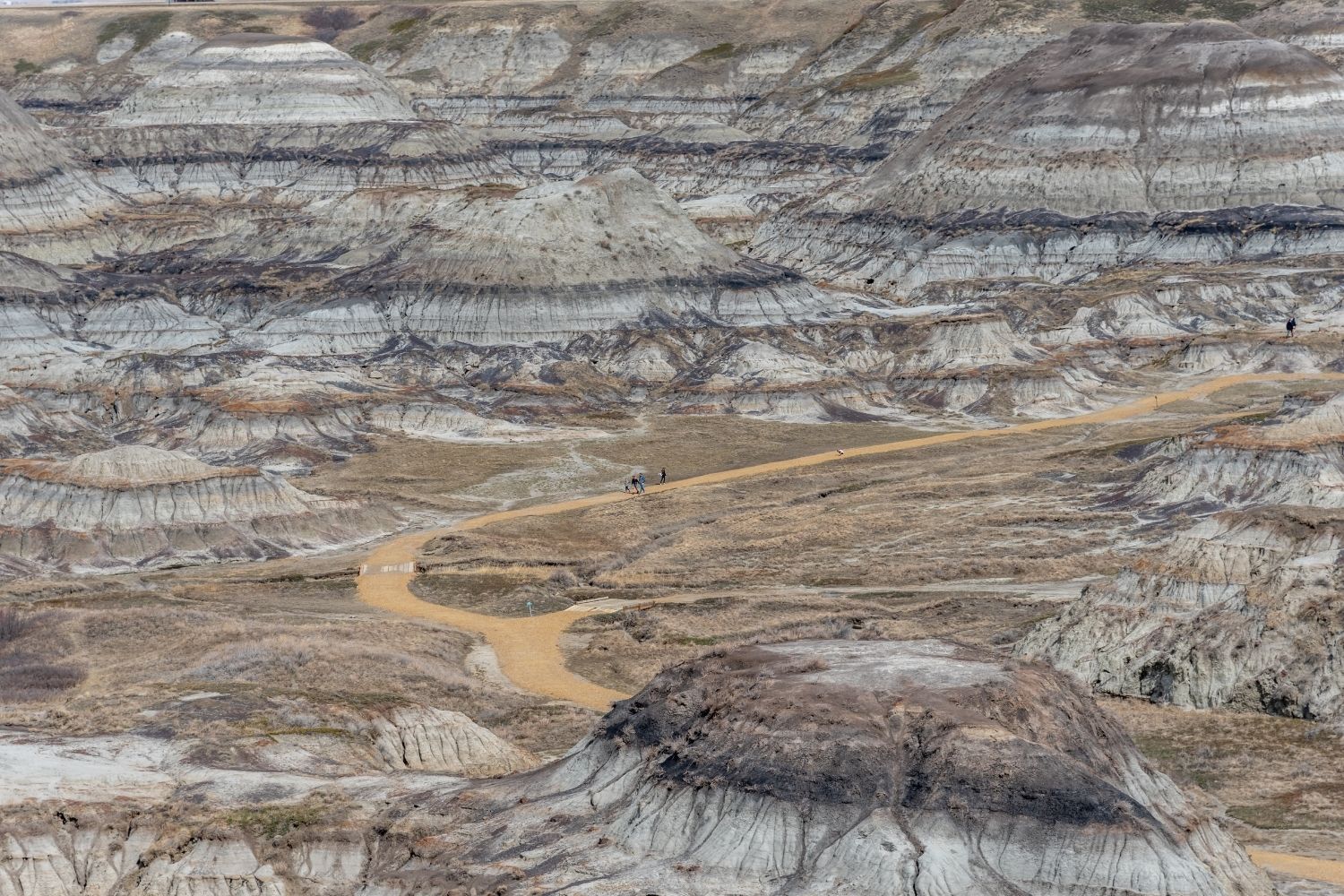 Horseshoe and Horsethief Canyons 