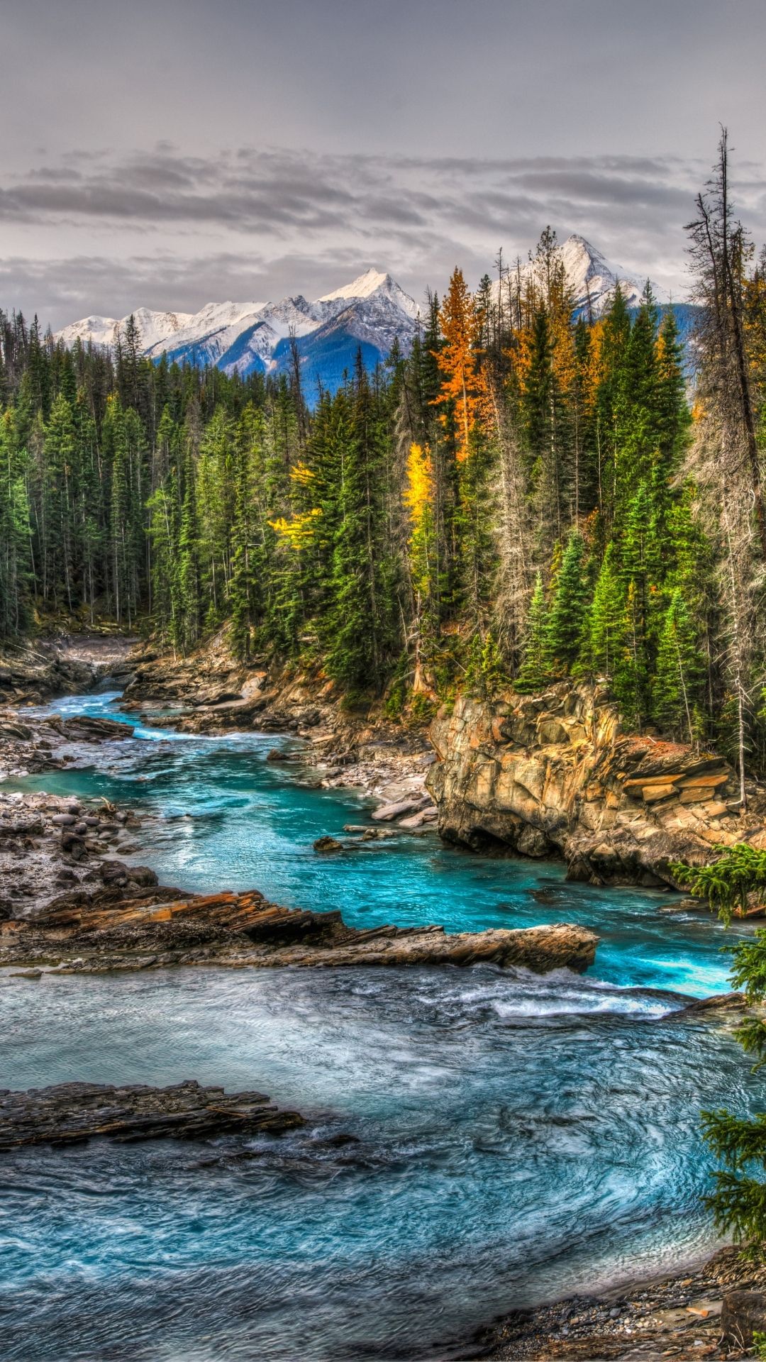  Kicking Horse River