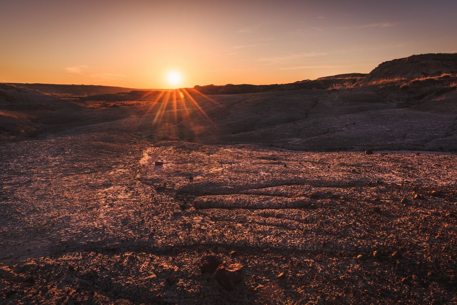 things to do in drumheller