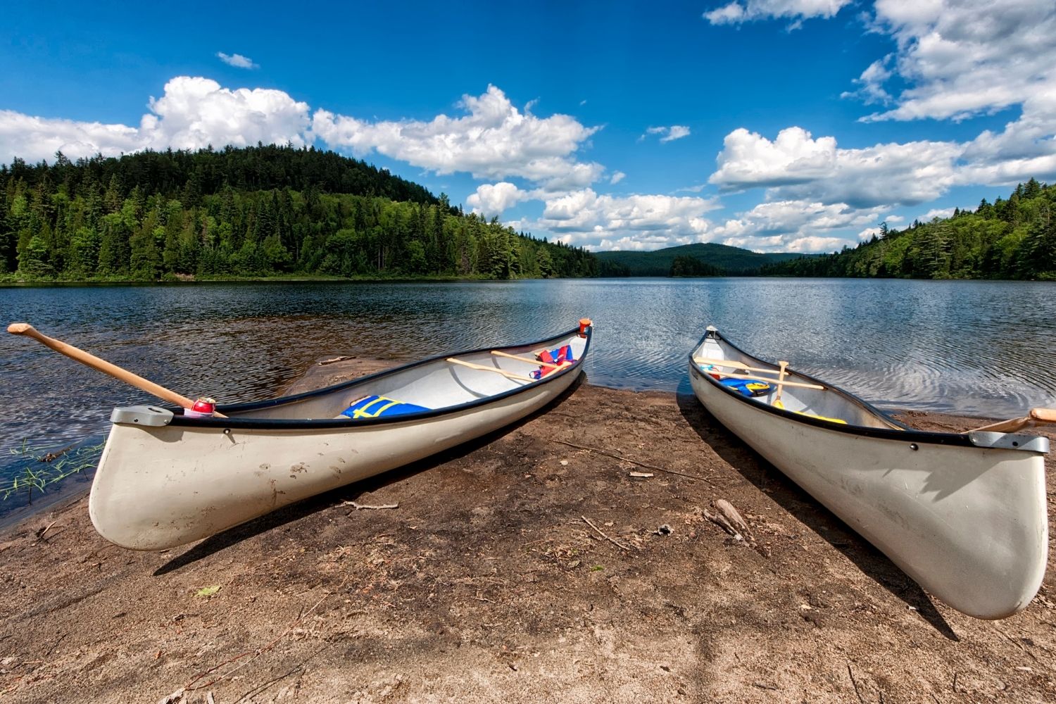 Paddle and Fish on the Columbia River