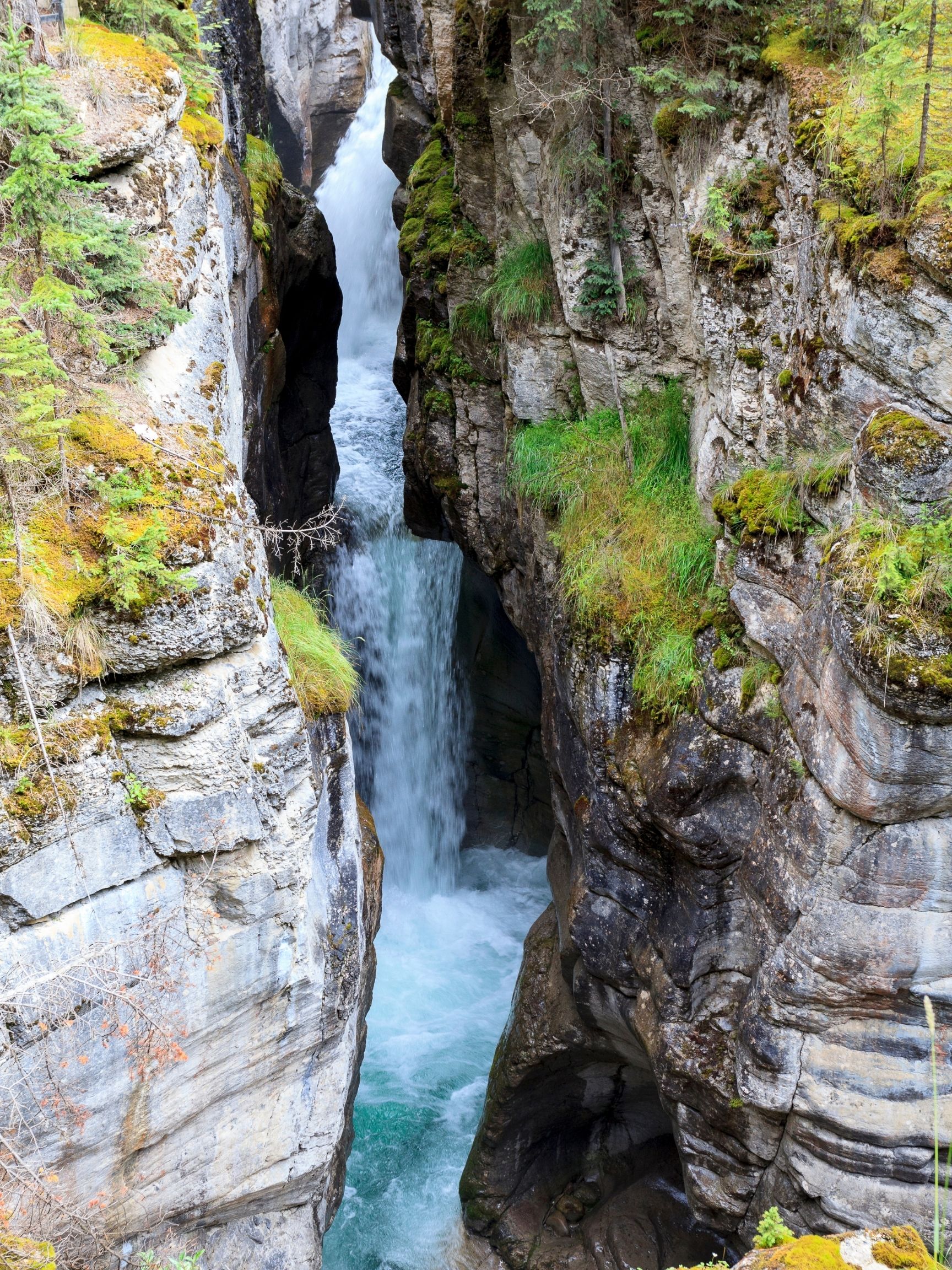 Maligne Canyon (Jasper)