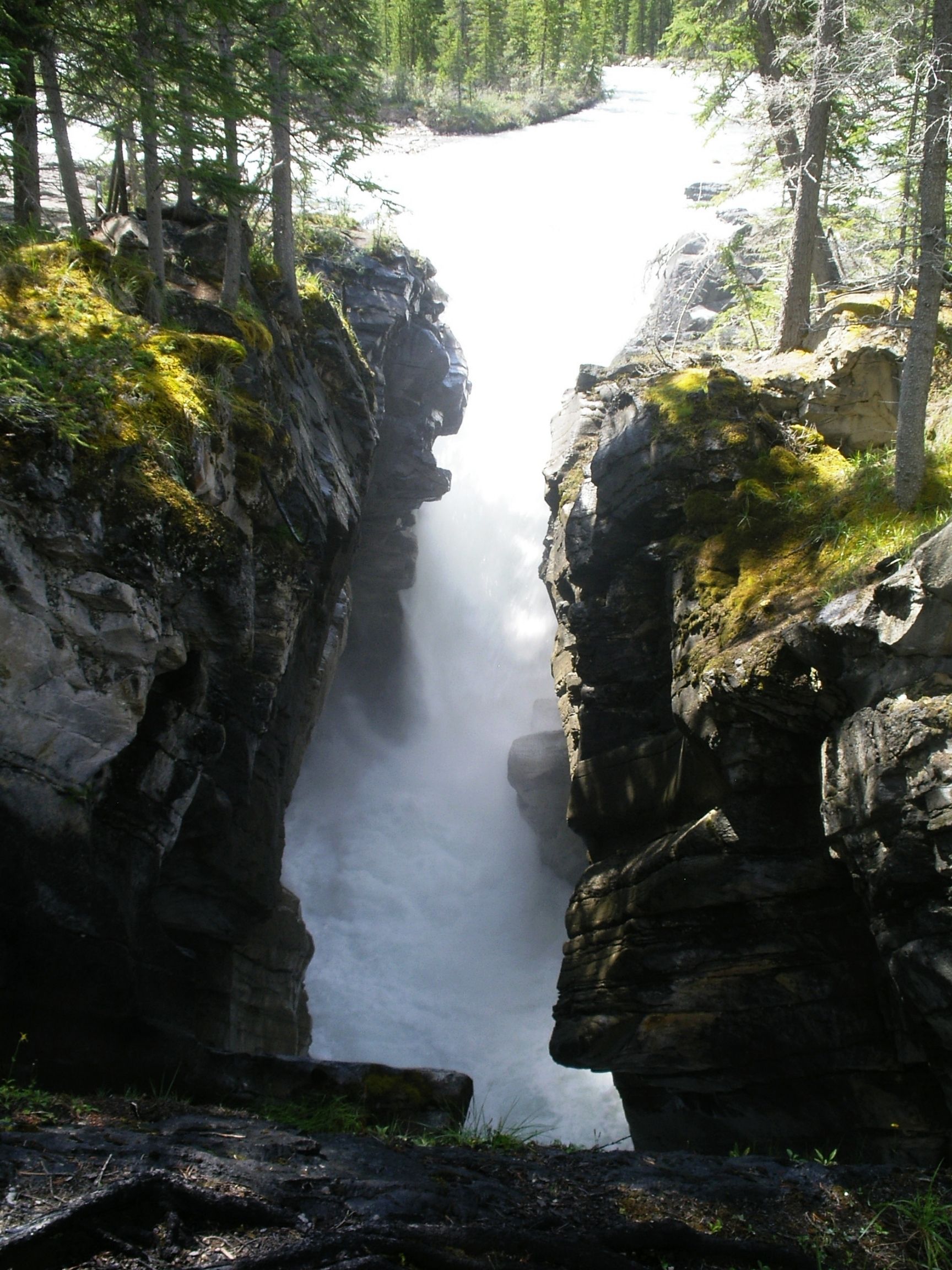 Siffleur Falls (David Thompson Country)