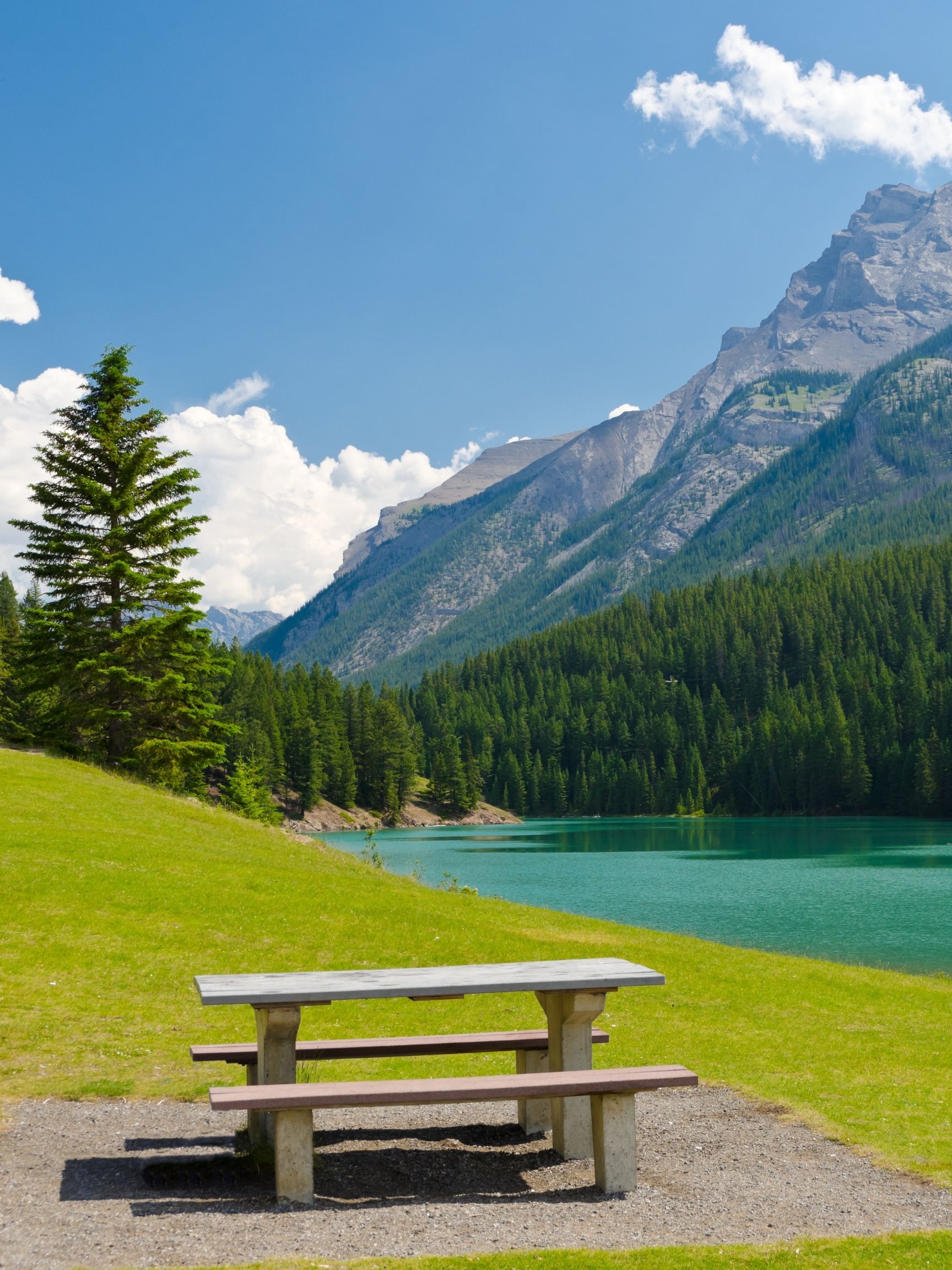 Picnic Bench Two Jack Lake