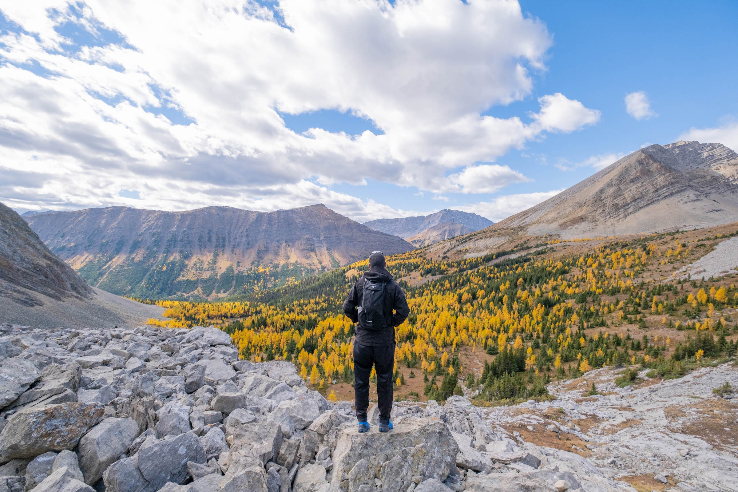 Tommy Standing In Arethusa Cirque Taking In The Larches