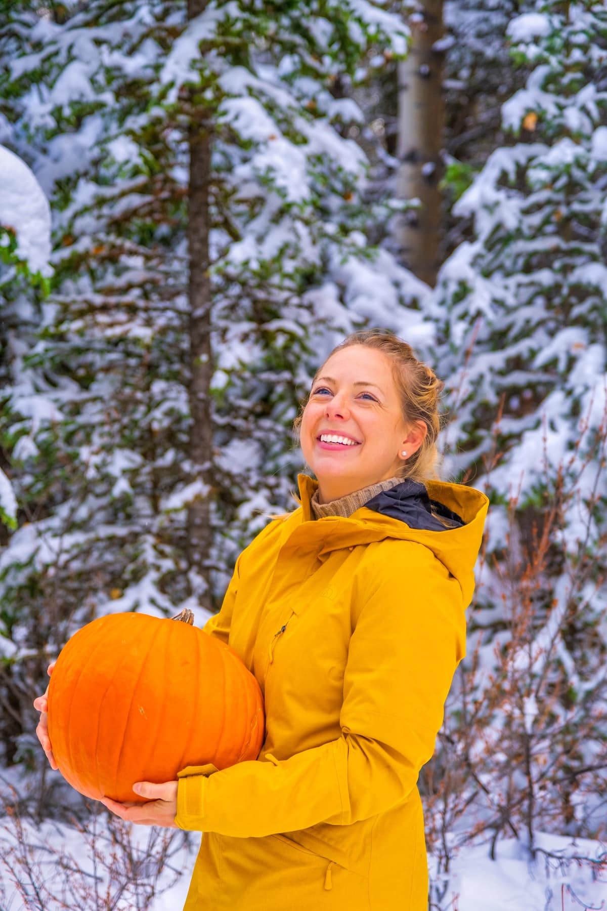 pumpkins in banff