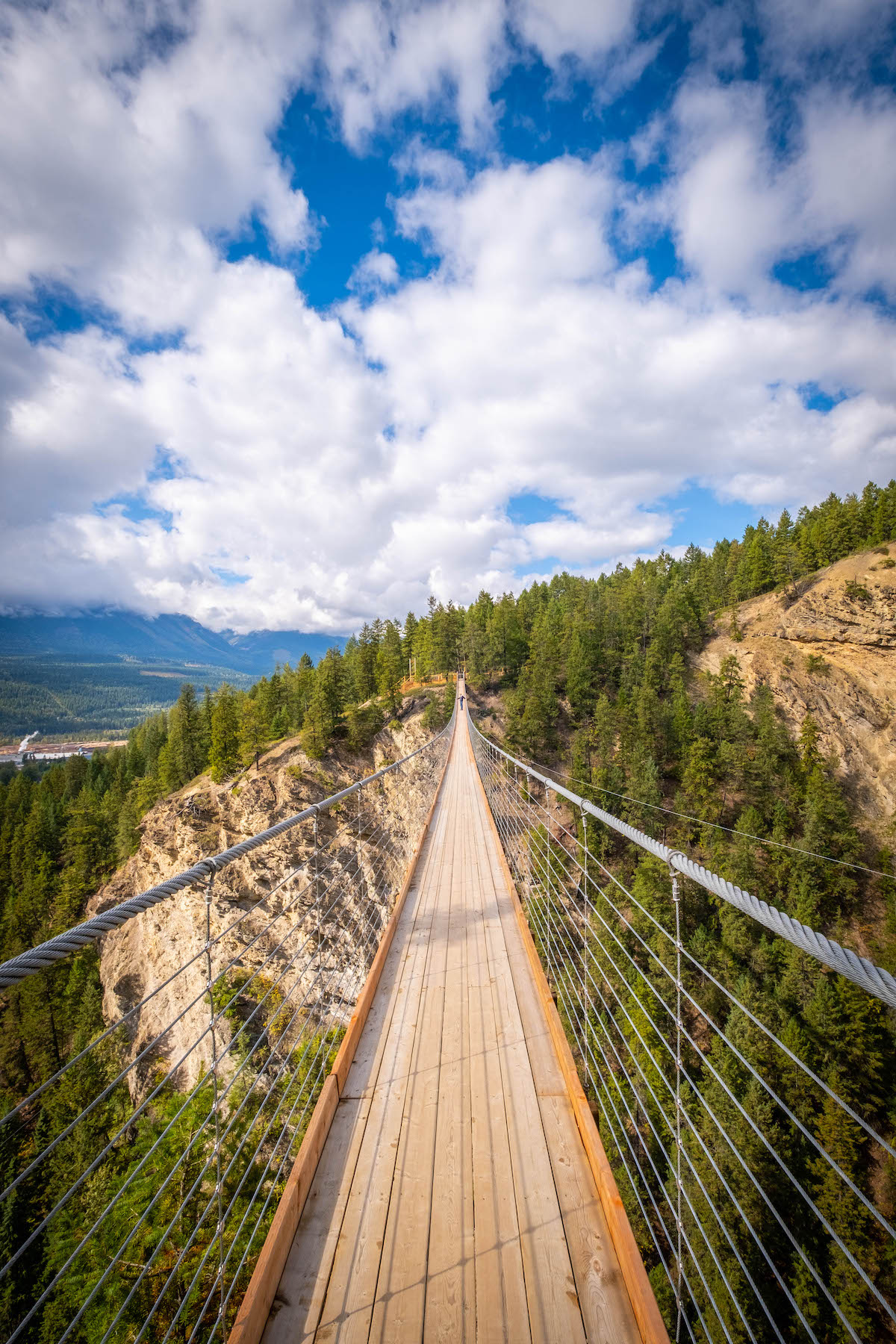 golden skybridge