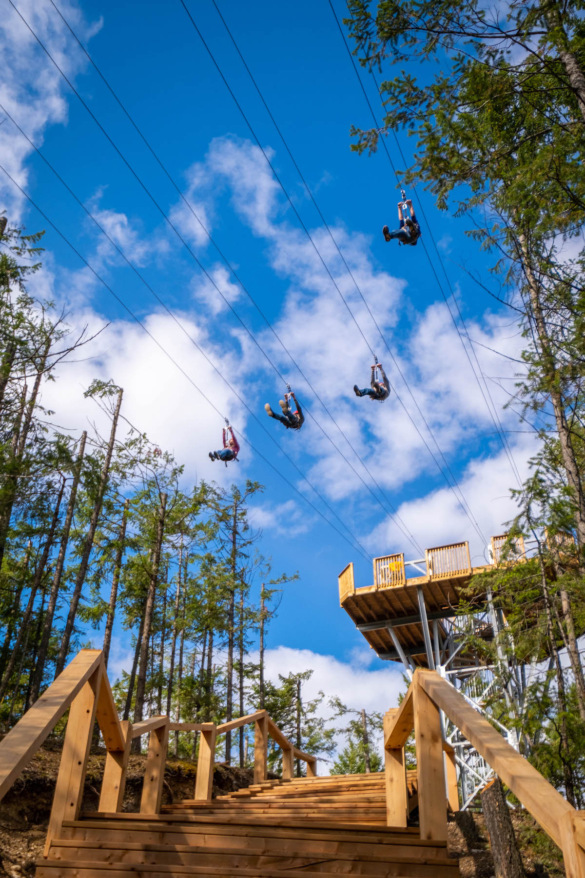 Zipline and Canyon Swing in Golden 