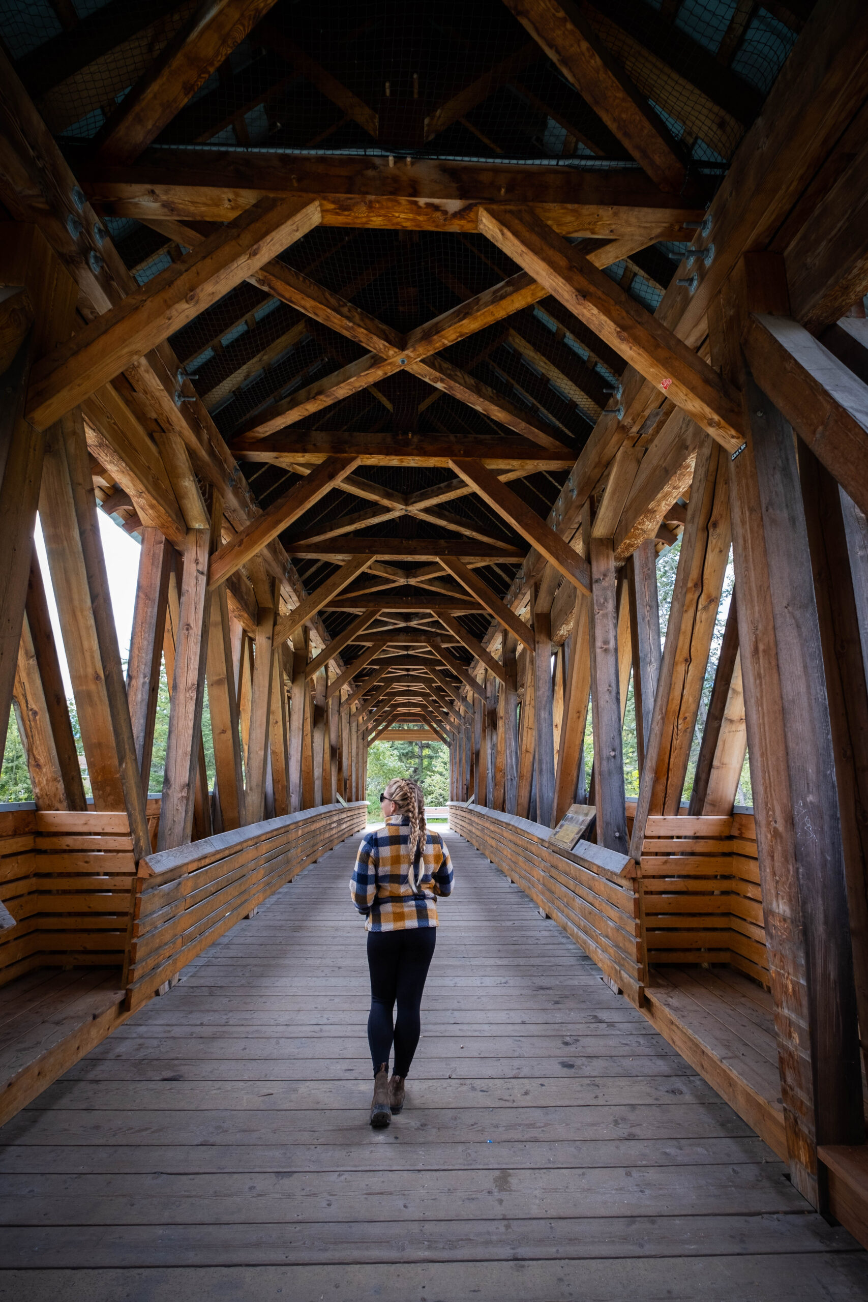  Kicking Horse Pedestrian Bridge 