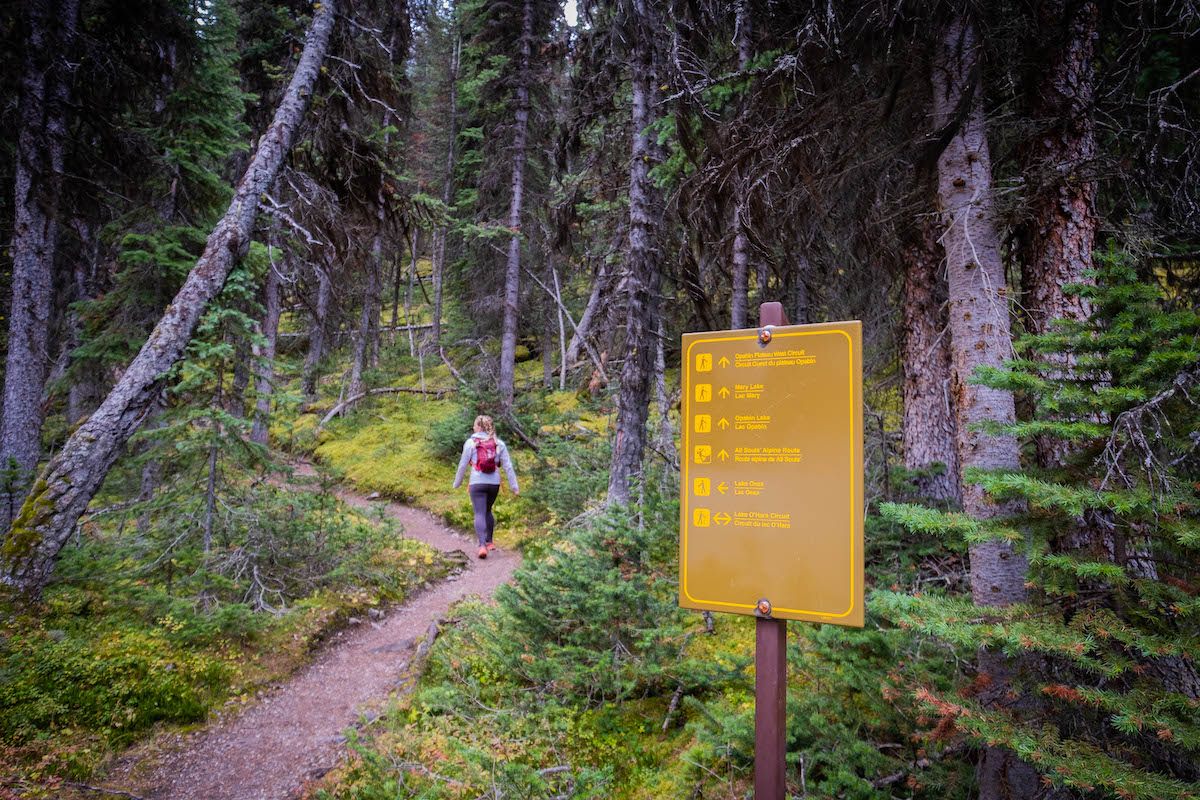 Lake O'Hara routes