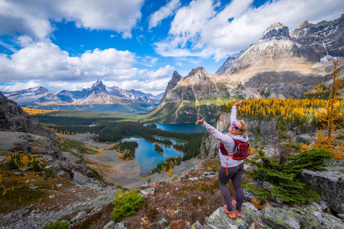 Lake O'Hara View From Opabin Plateau