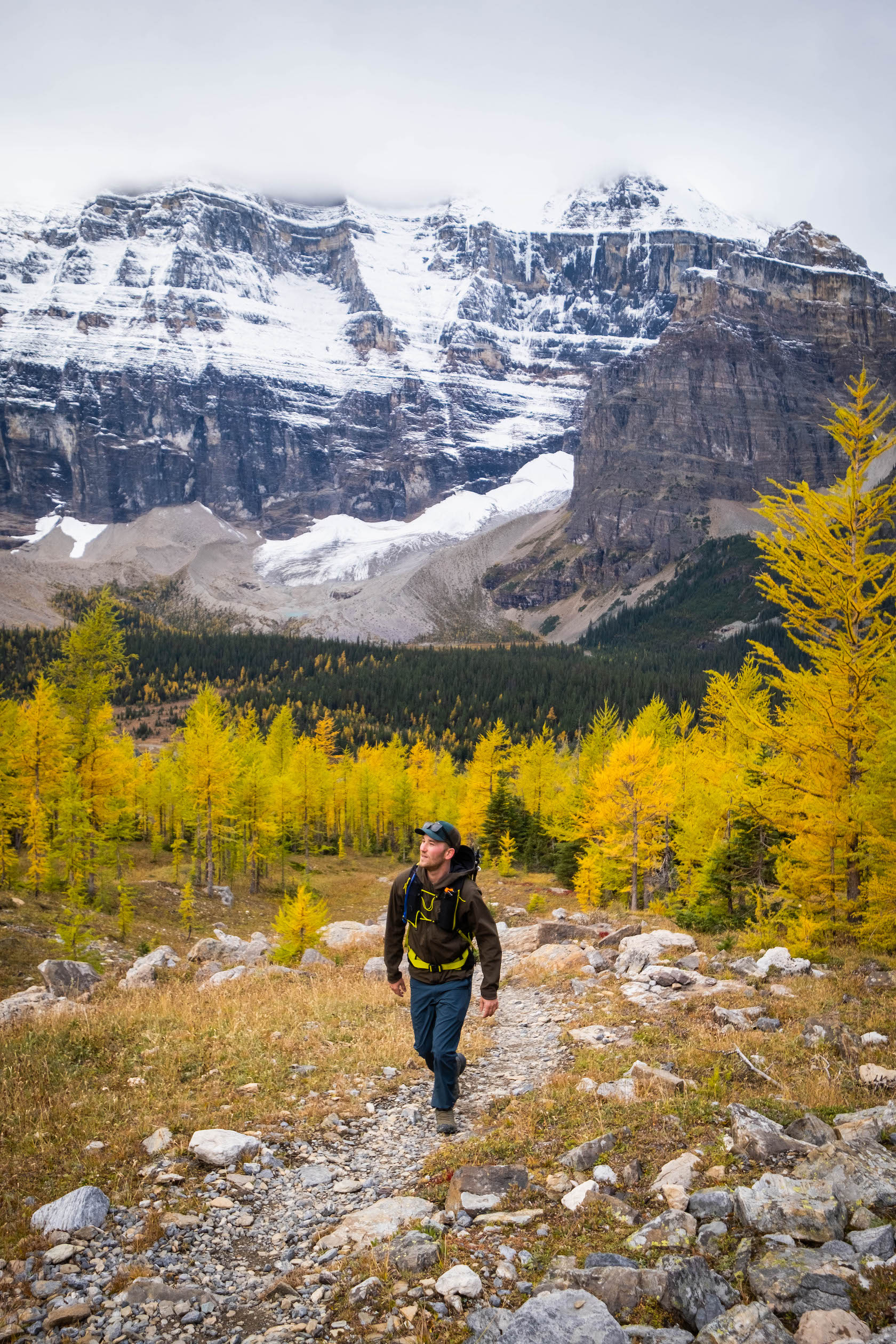 Cameron Hikes Through Larch Trees In Paradise Valley - September