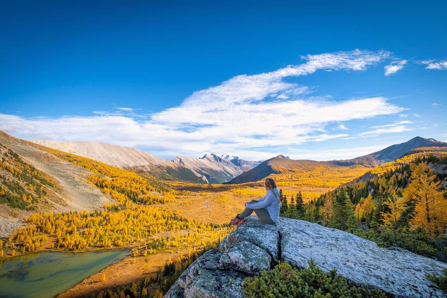 Natasha Enjoys Views In Skoki Region - A sea of larch trees from a cliff face