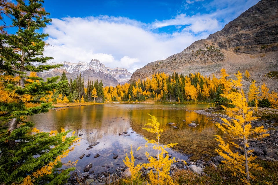 At Schaffer Lake during the larch season