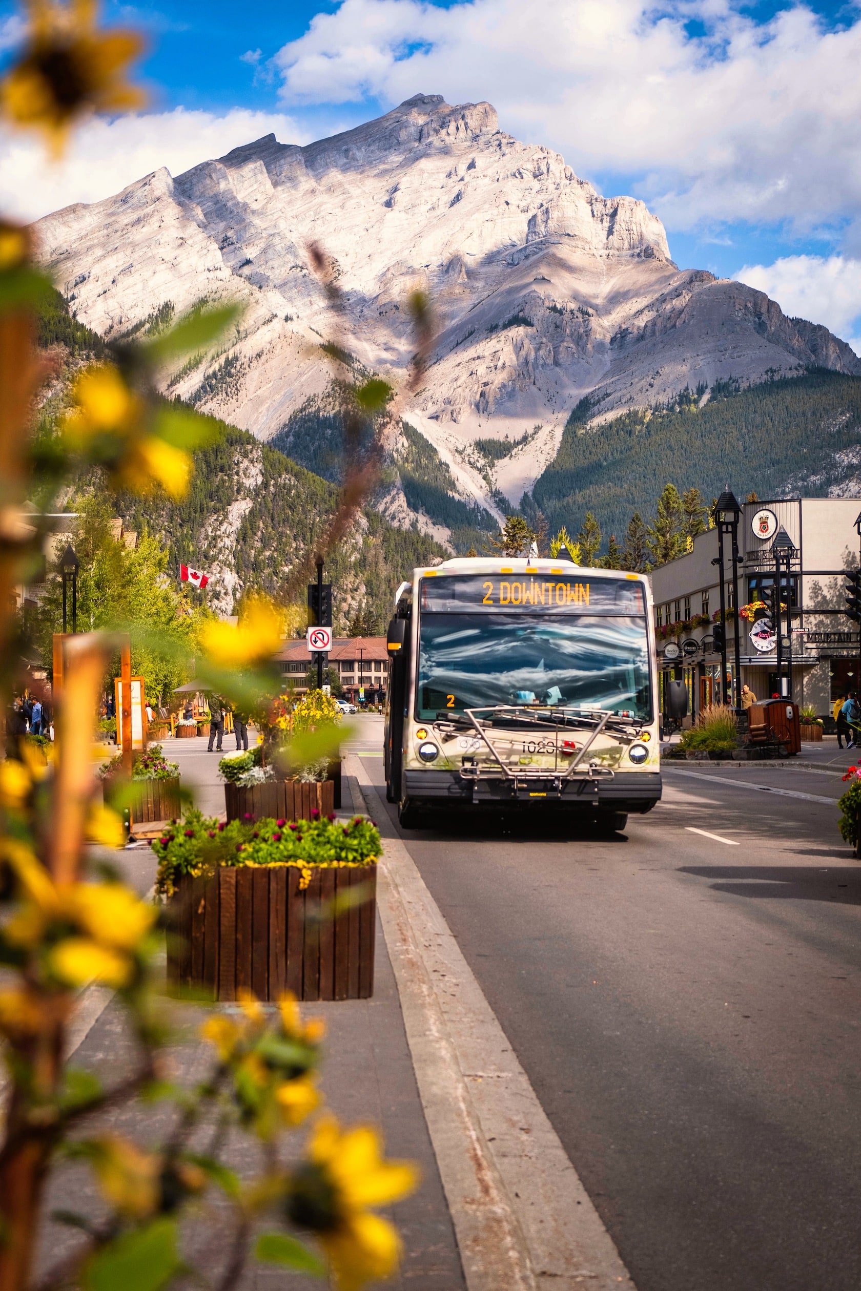 The Roam Transit 2 In Downtown Banff