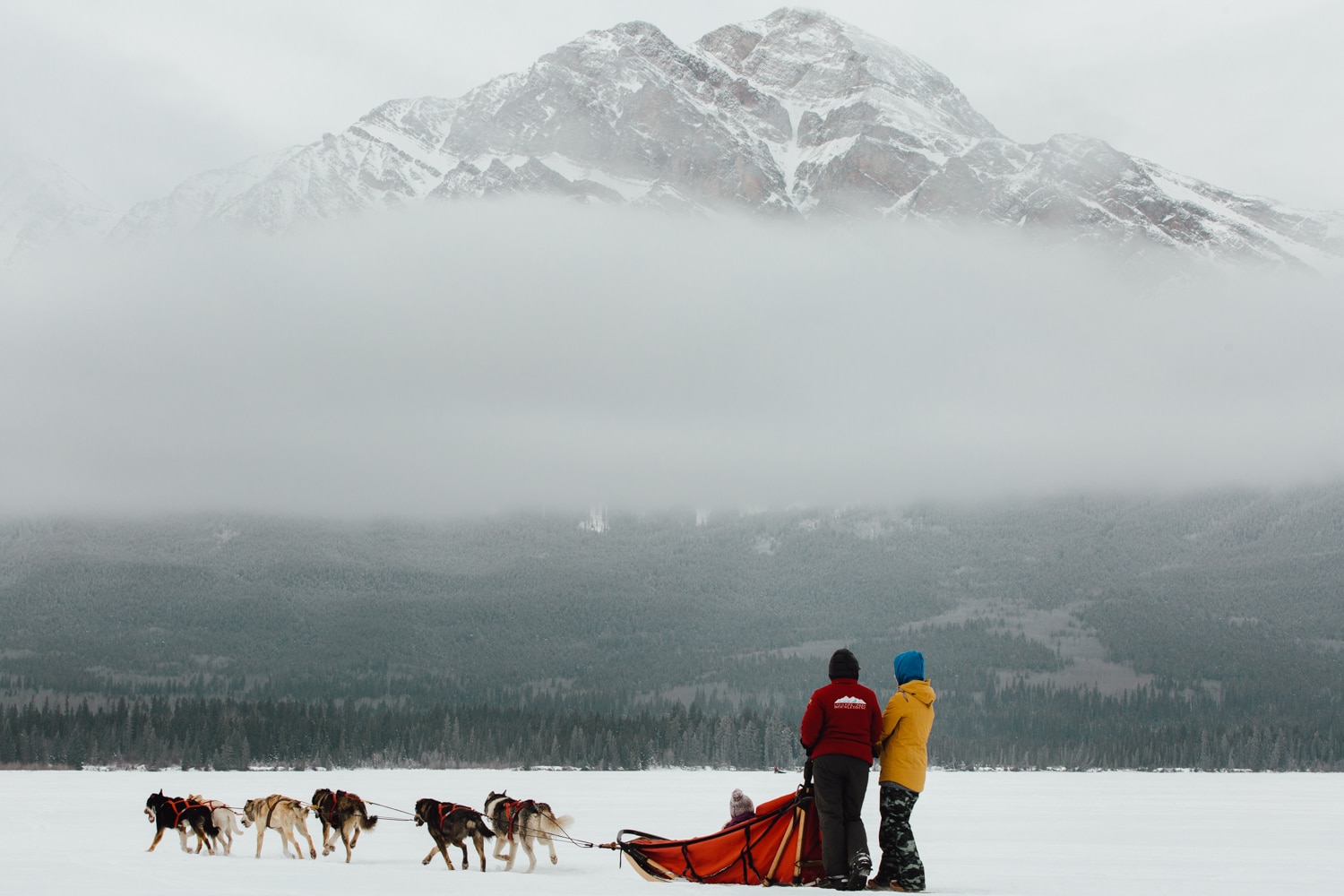 dog sledding across a frozen lake in jasper