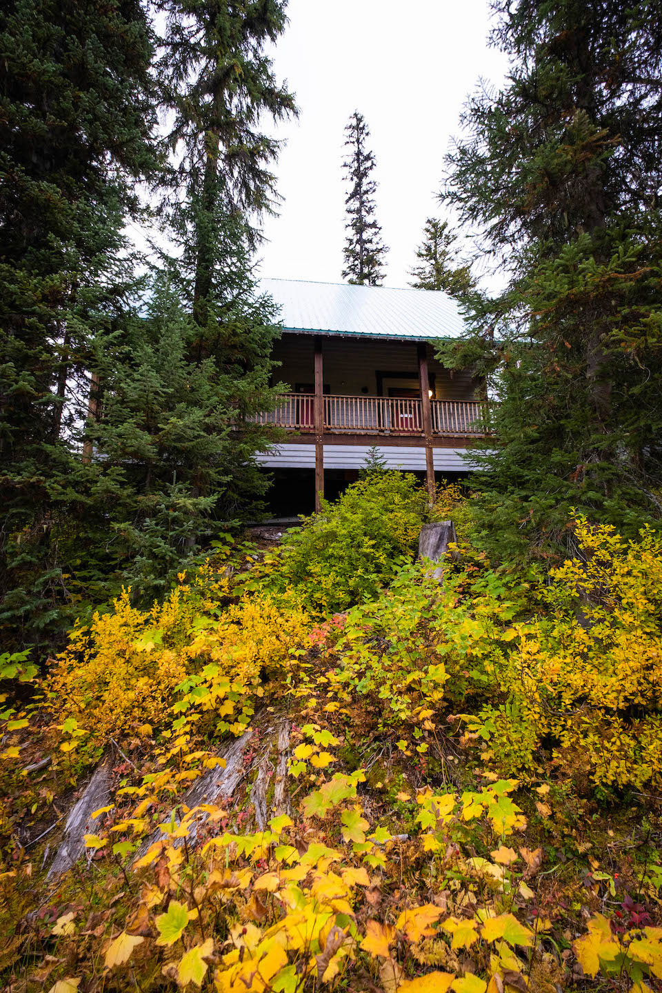 Emerald Lake Lodge Cabin In Fall