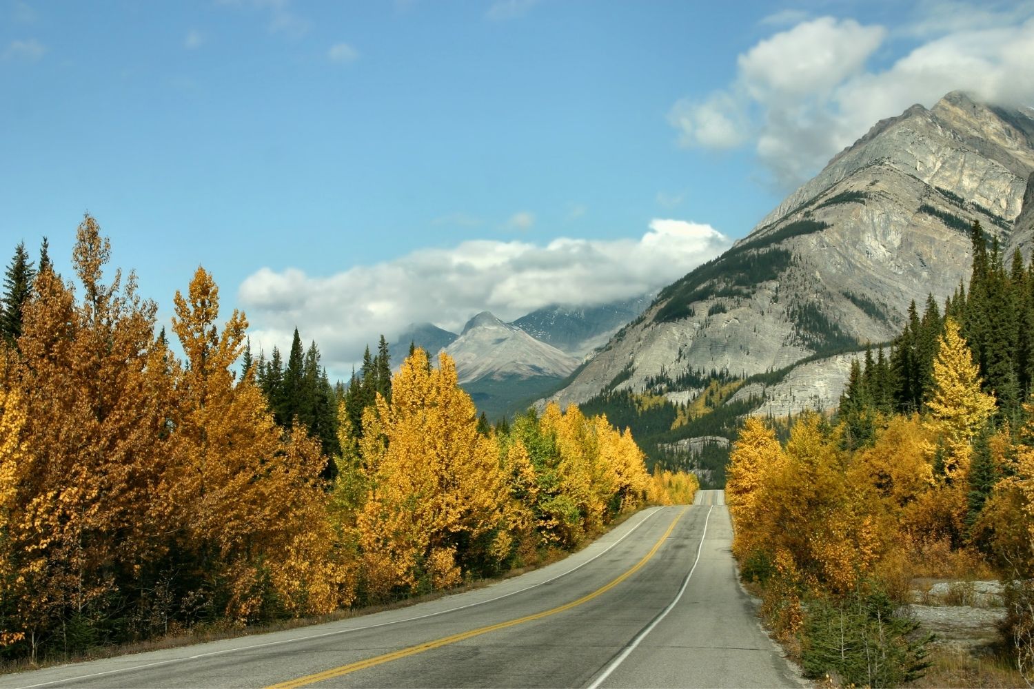 icefields parkway in fall