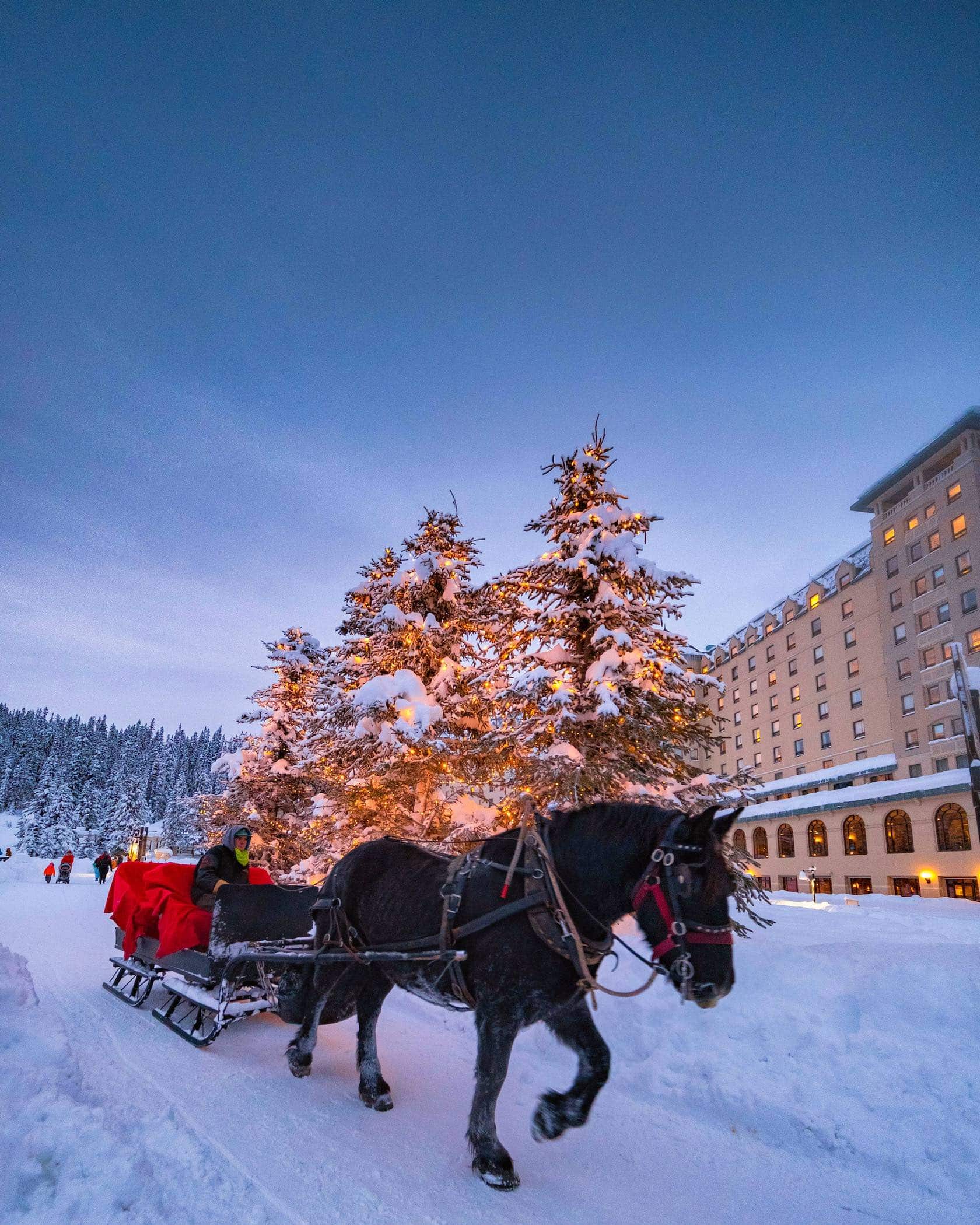 christmas at lake louise