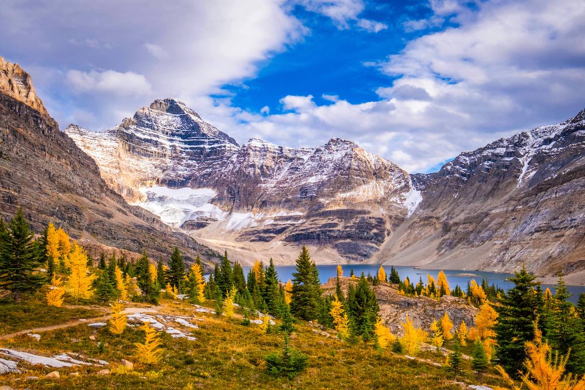 mcarthur lake yoho