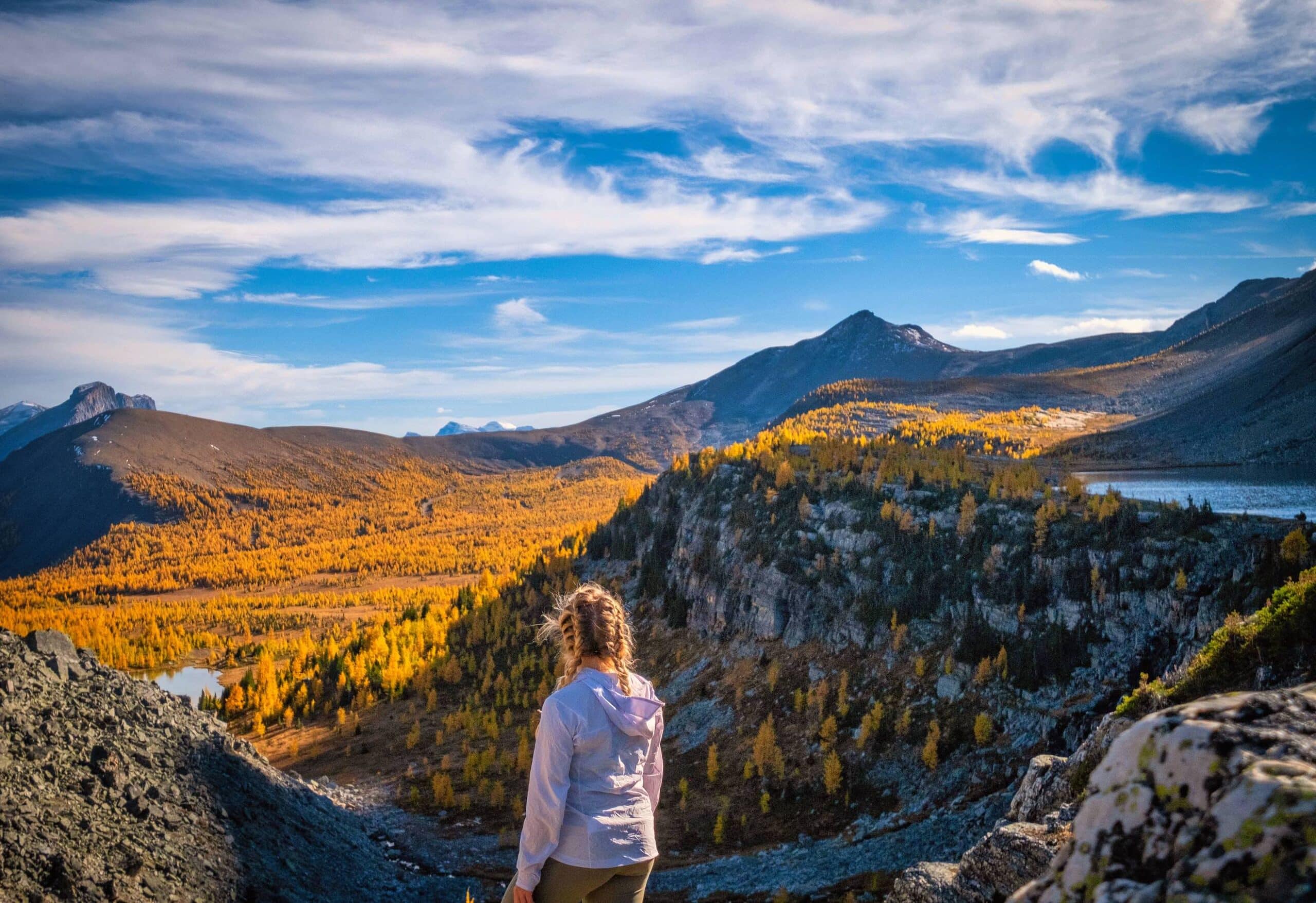 Natasha Looks Out To A Sea Of Larch Trees In The Skoki Region