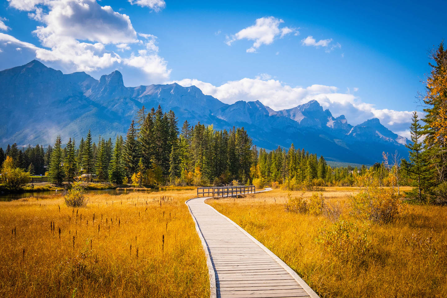 Policemen's Creek Boardwalk in the fall in Canmore