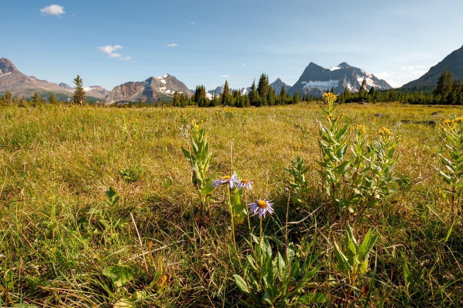 tonquin valley