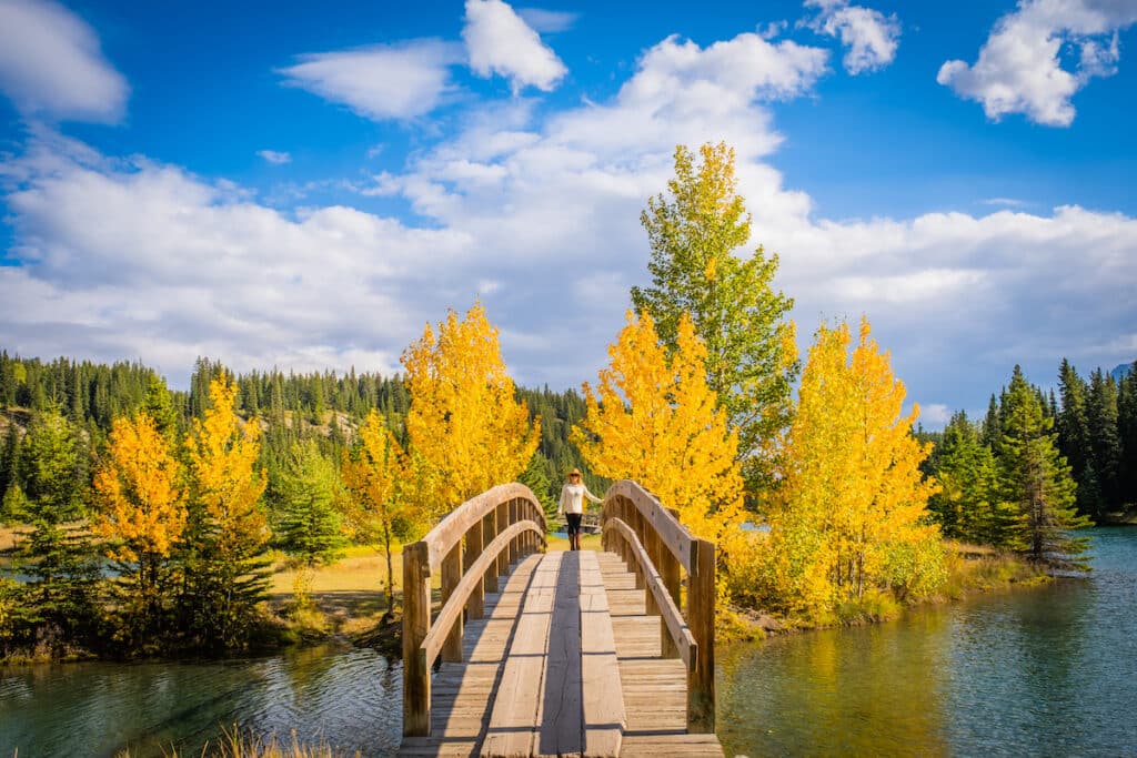 How to Enjoy the Fall Colors in Banff Without Hiking