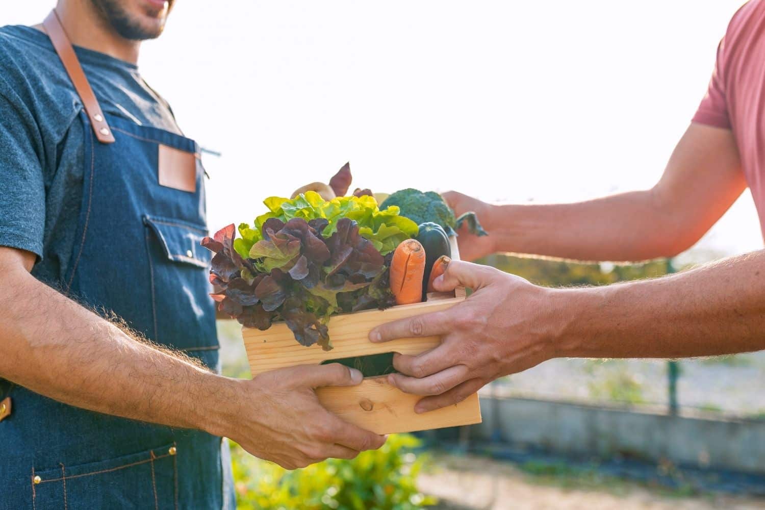 Farmers’ Markets in red deer