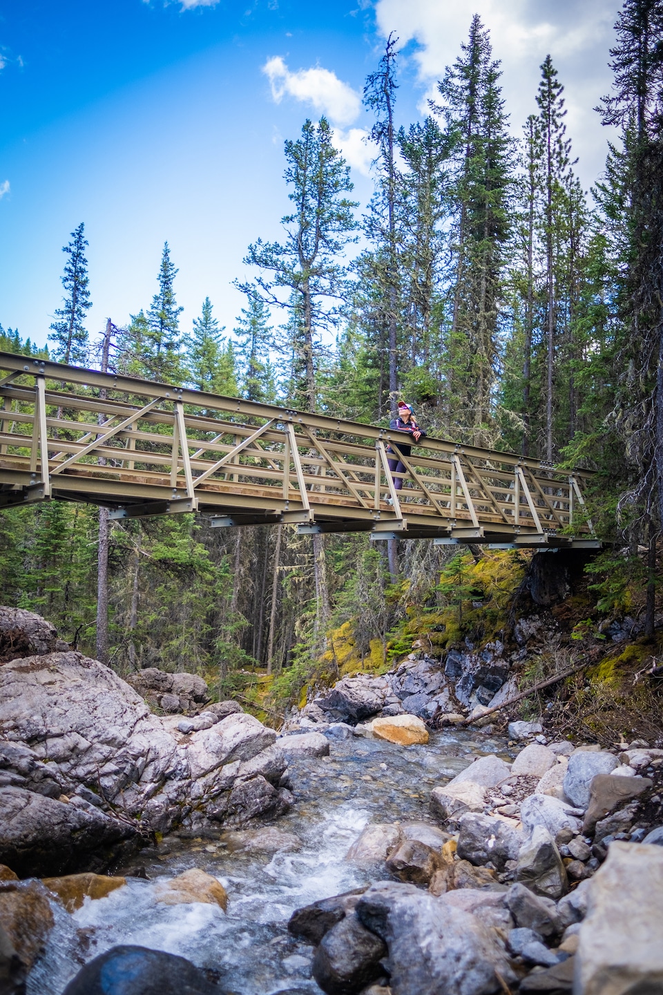 on the  Jewell Pass Trail 