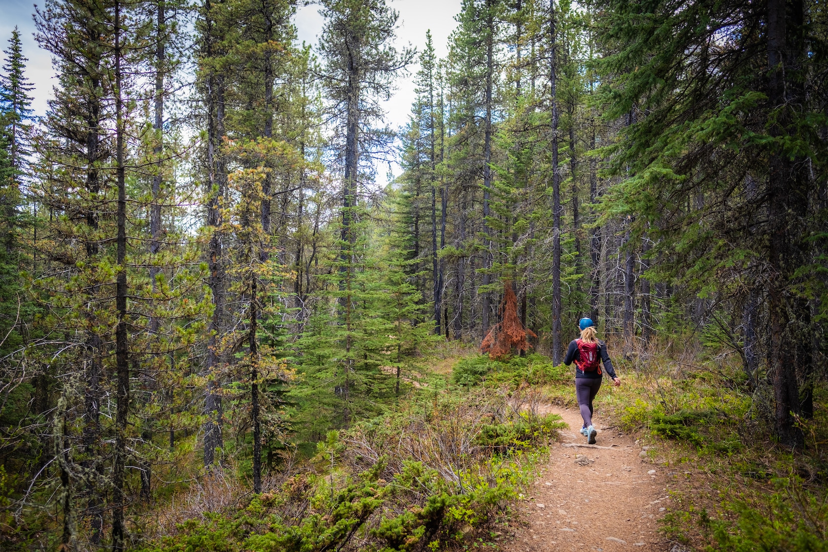 hiking the barrier lake trail