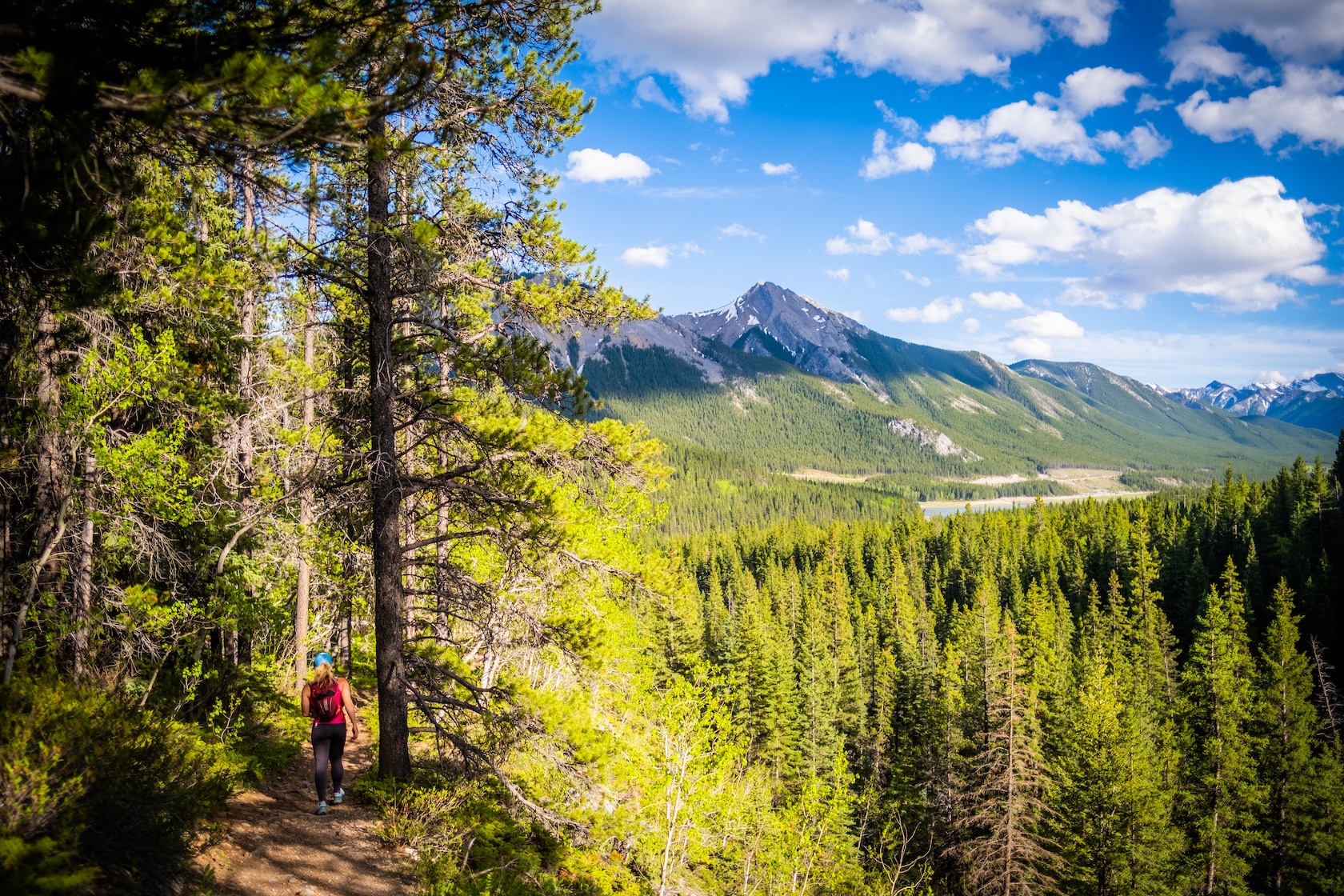 looking at mount baldy