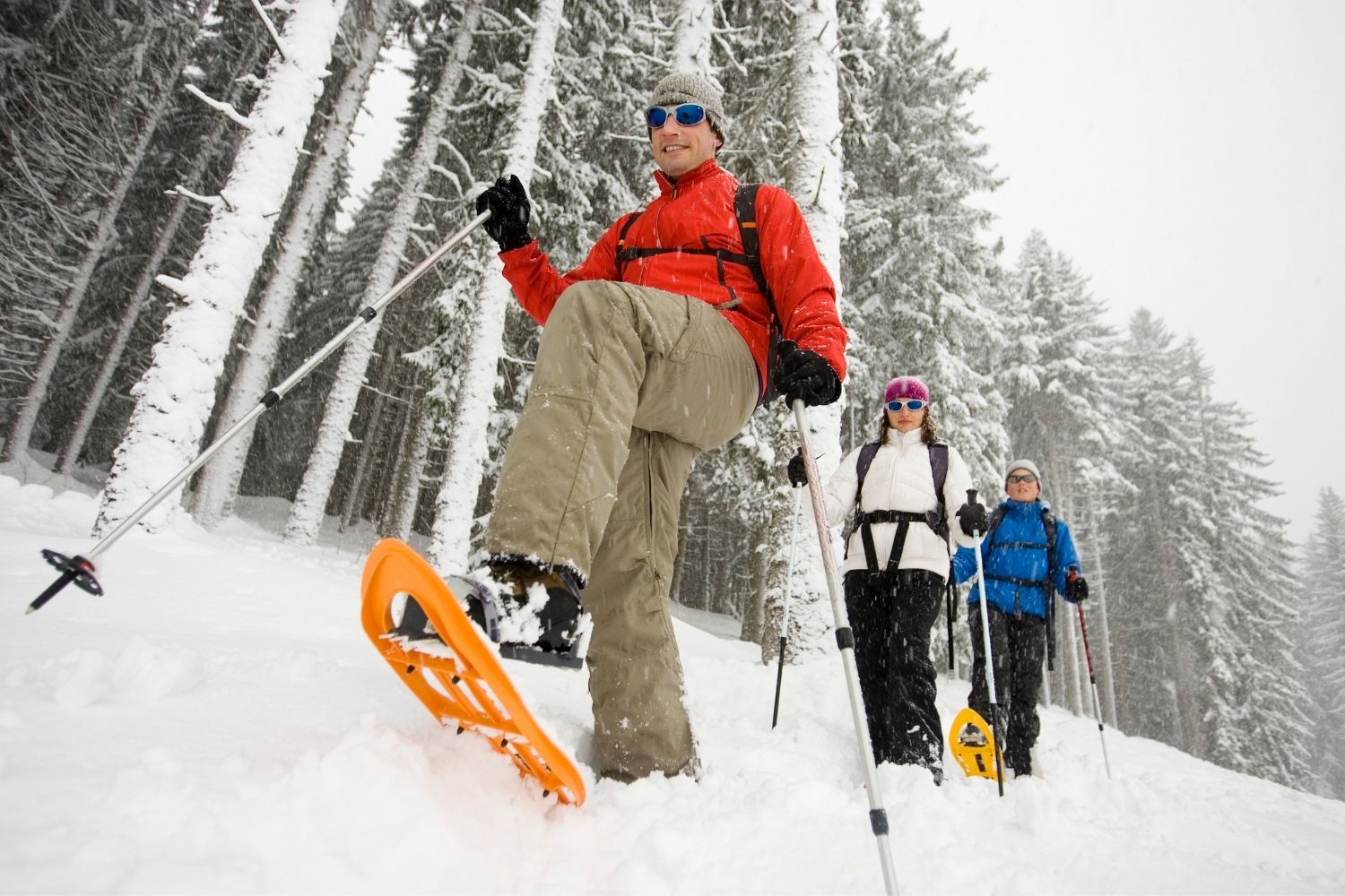 banff snowshoeing tours