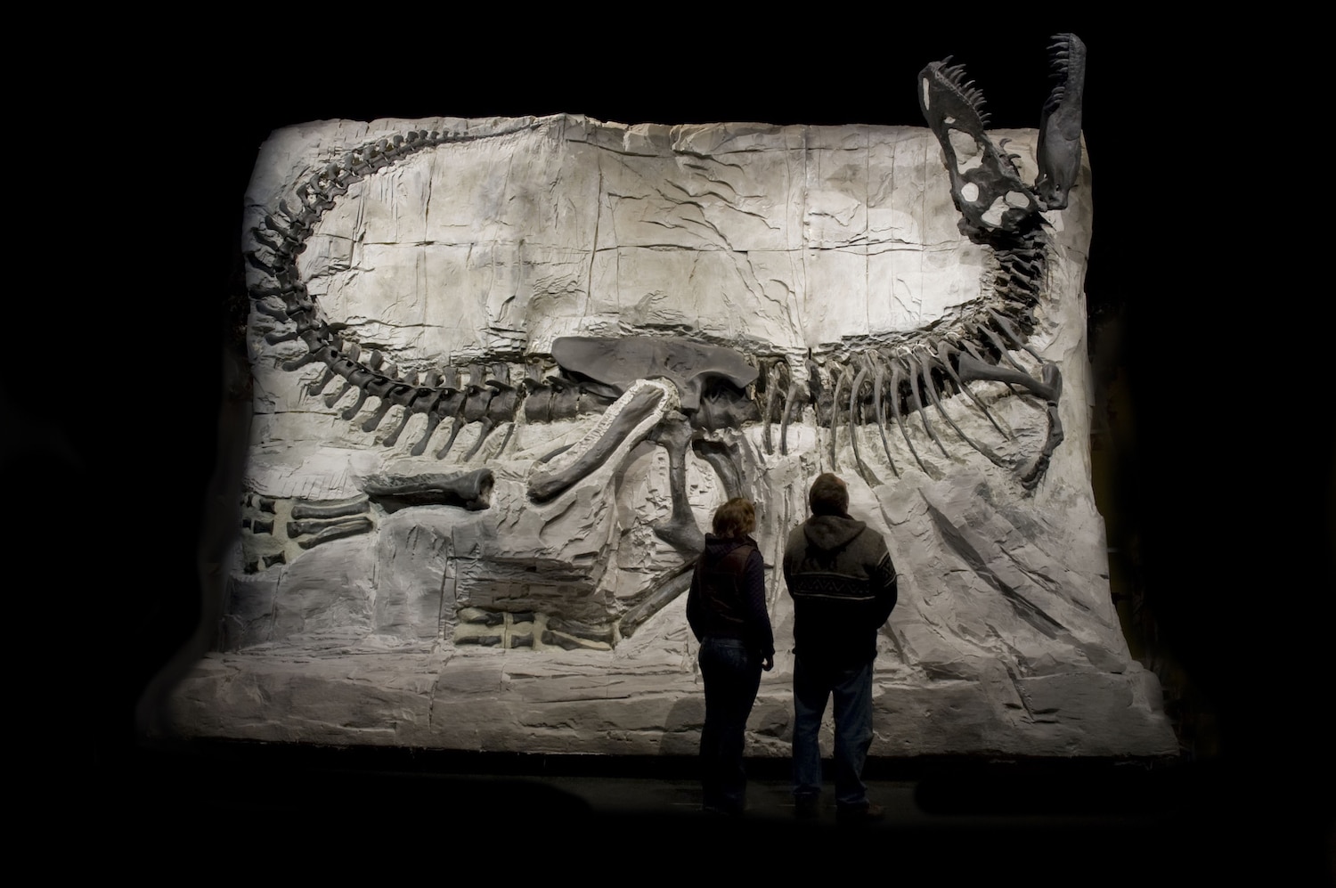 Royal Tyrrell Museum