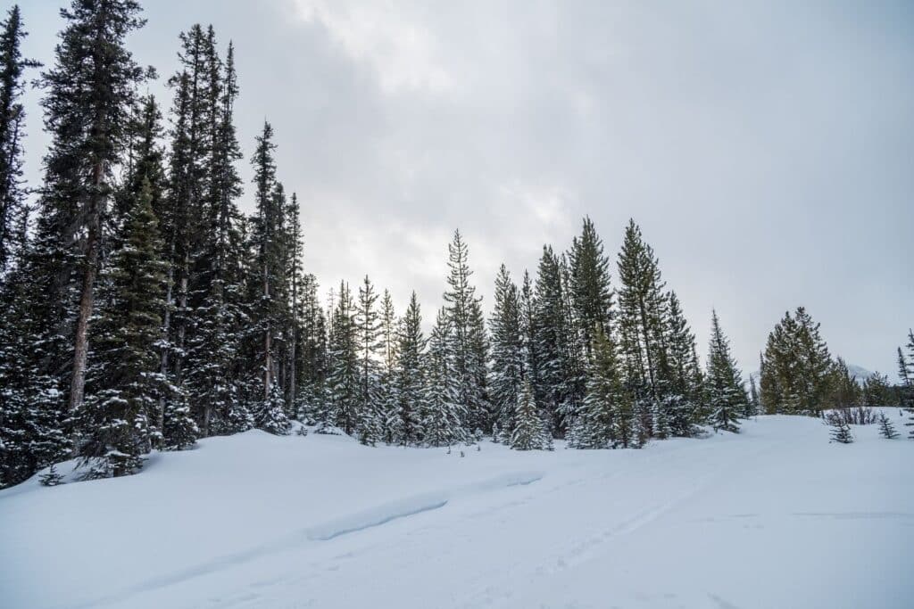 15 BEST Winter Hikes in Kananaskis and Canmore
