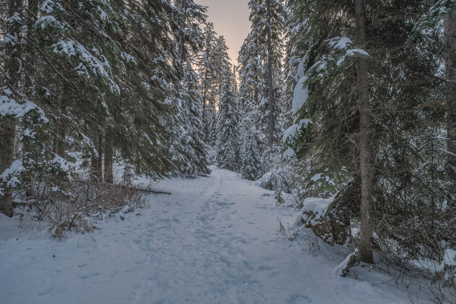 West Wind Pass in winter