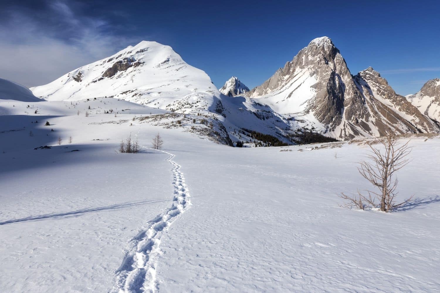 burstall lakes in winter