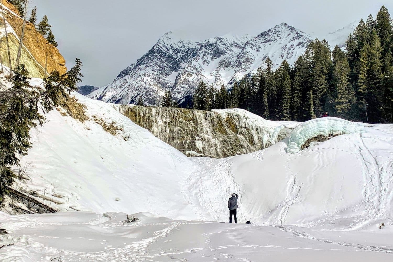 banff snowshoeing tours