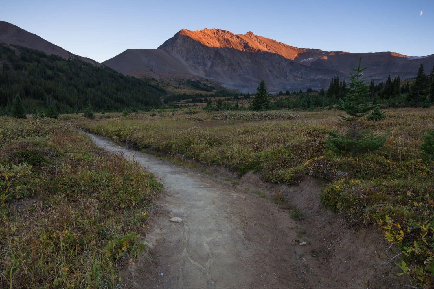 The Skyline Trail In Jasper