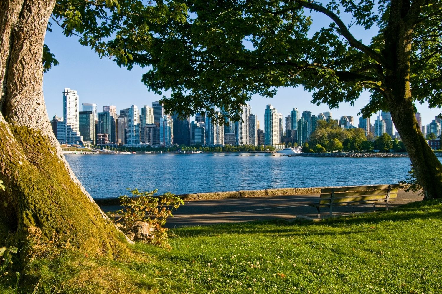 Vancouver Waterfront From Park