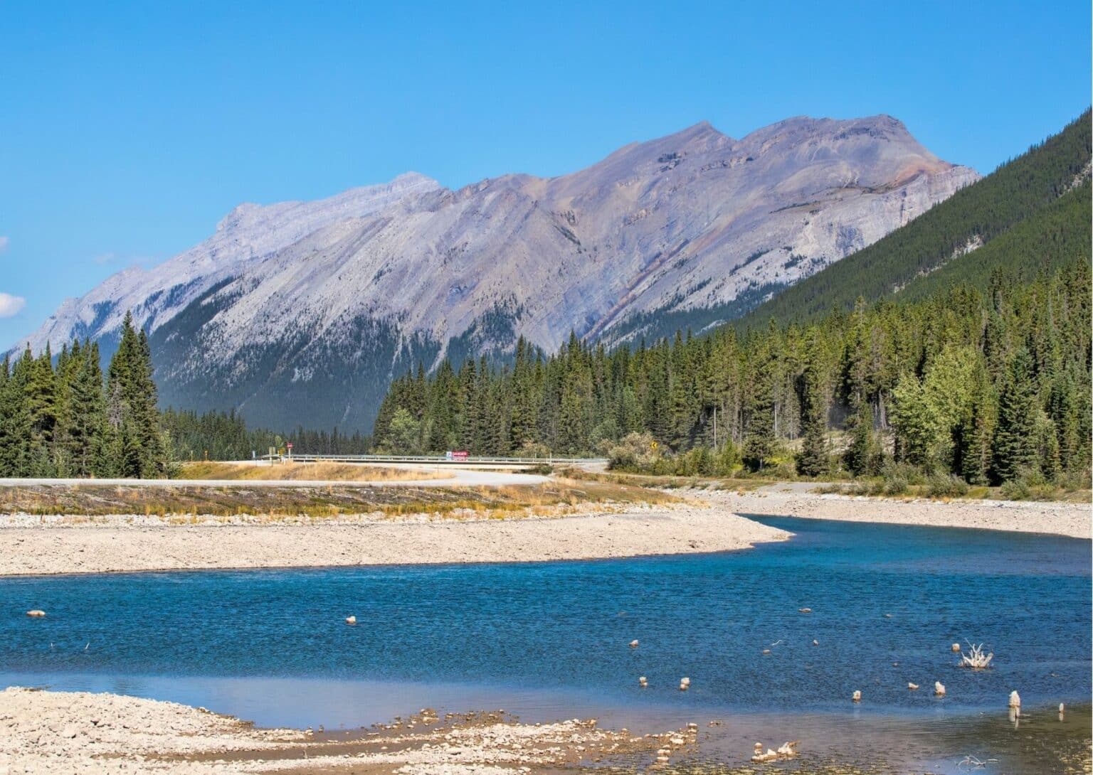 Canmore Camping Tips + Best Canmore Campgrounds (2024)