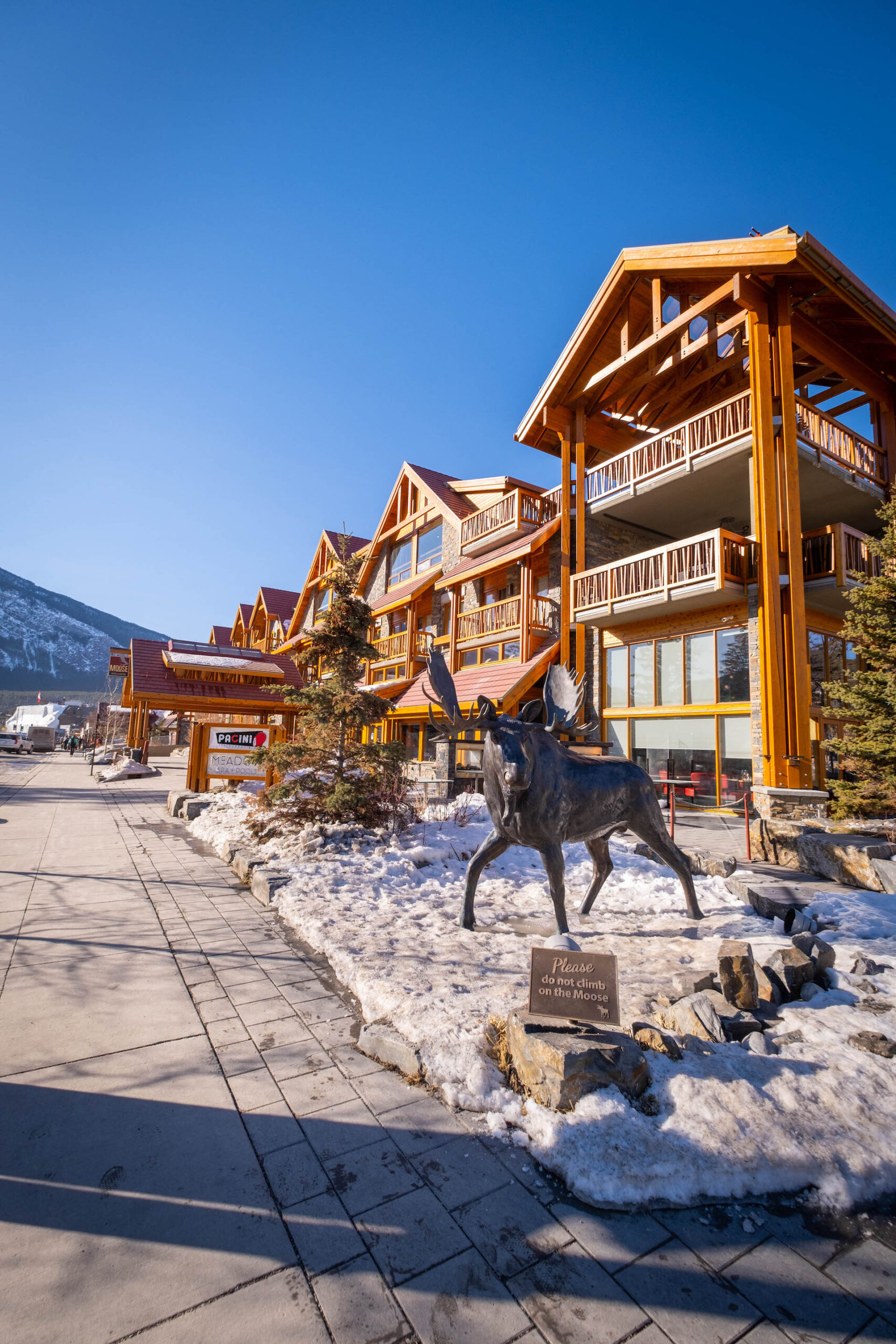 The Moose Hotel in Banff