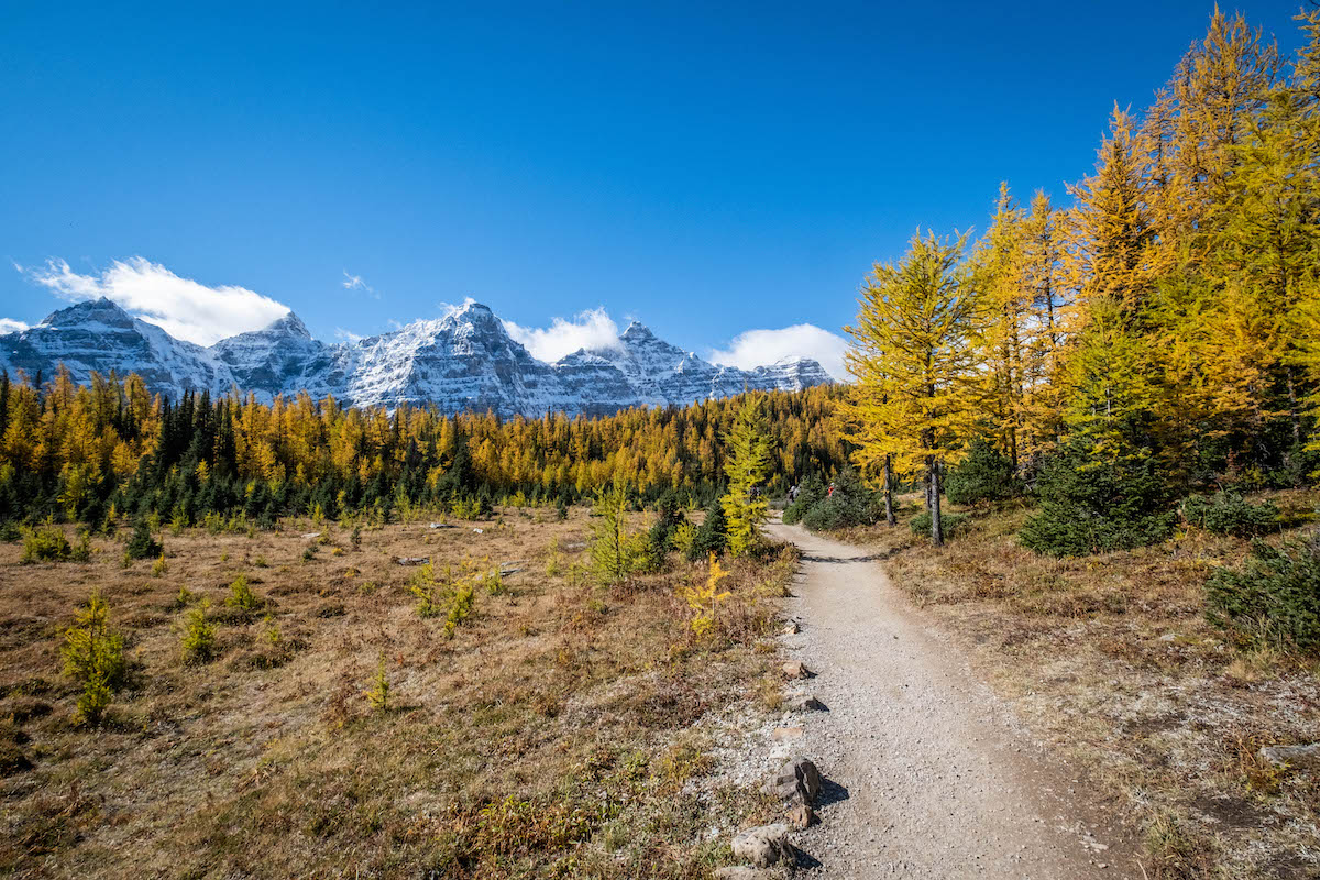 larch valley trail - moraine lake