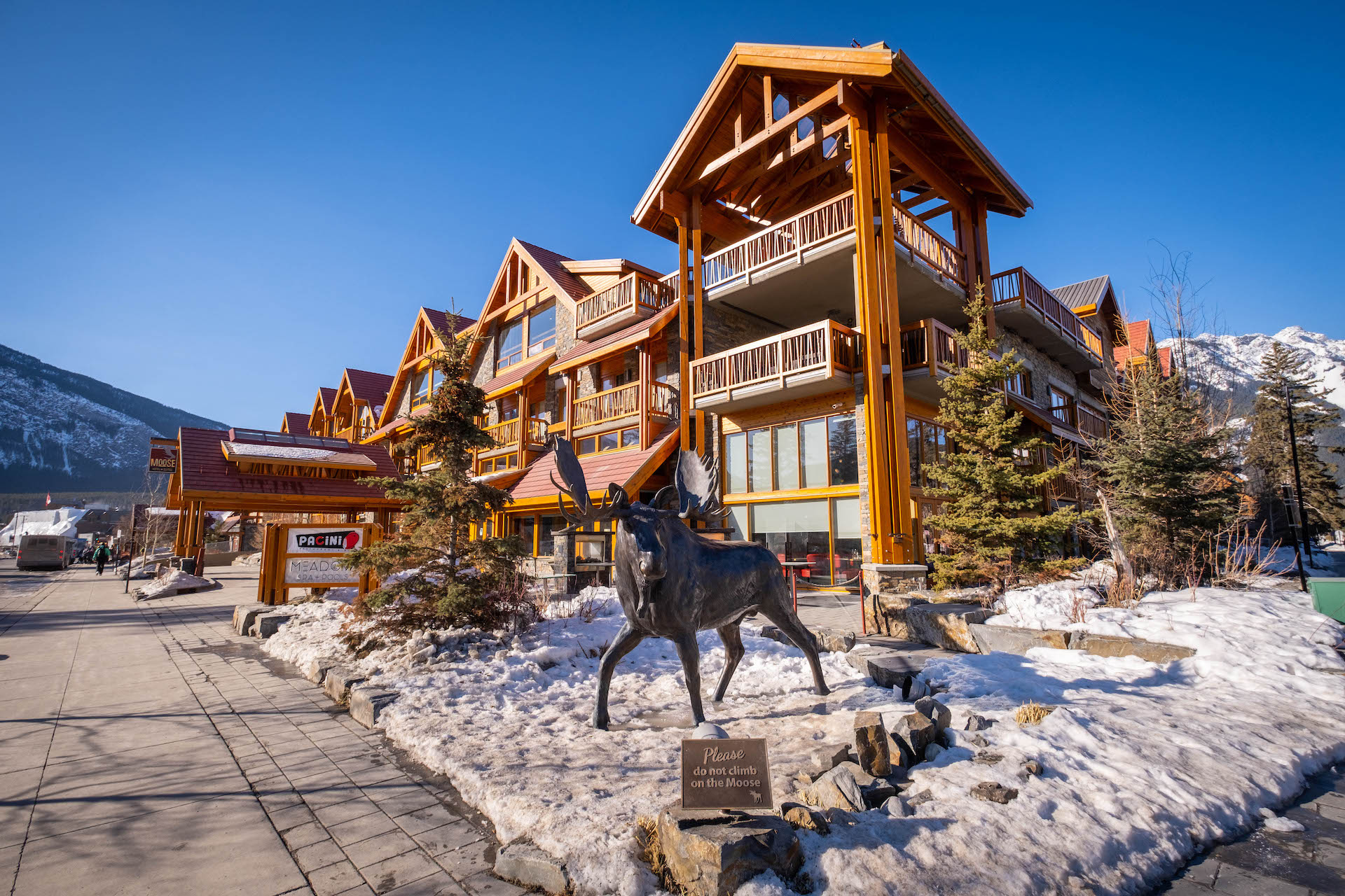 moose hotel in banff