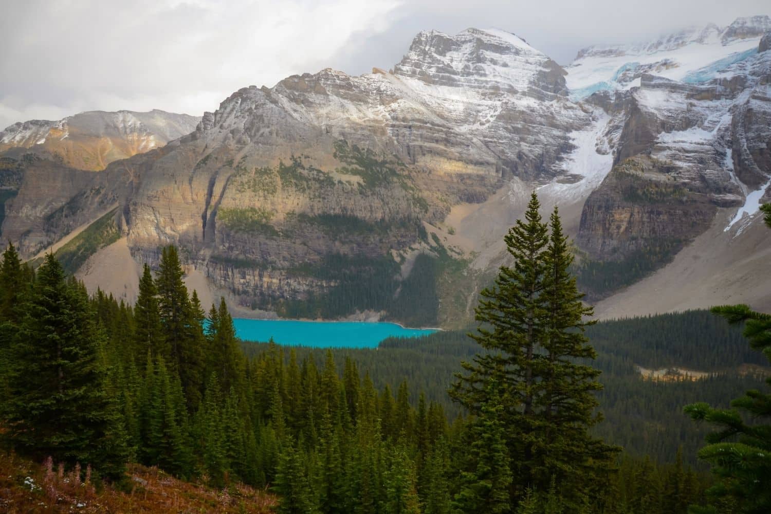 Eiffel Lake Trail