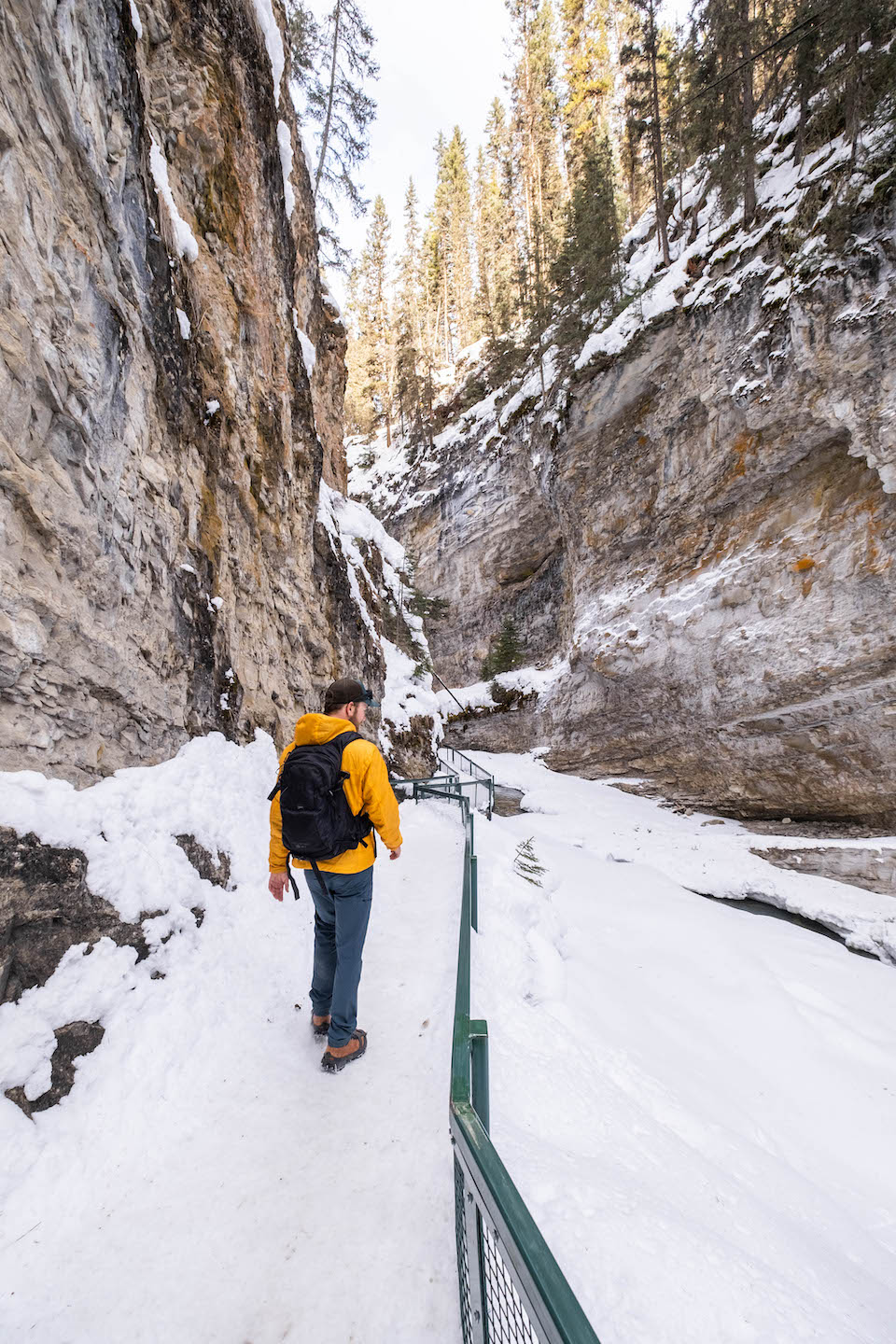 johnston canyon in winter