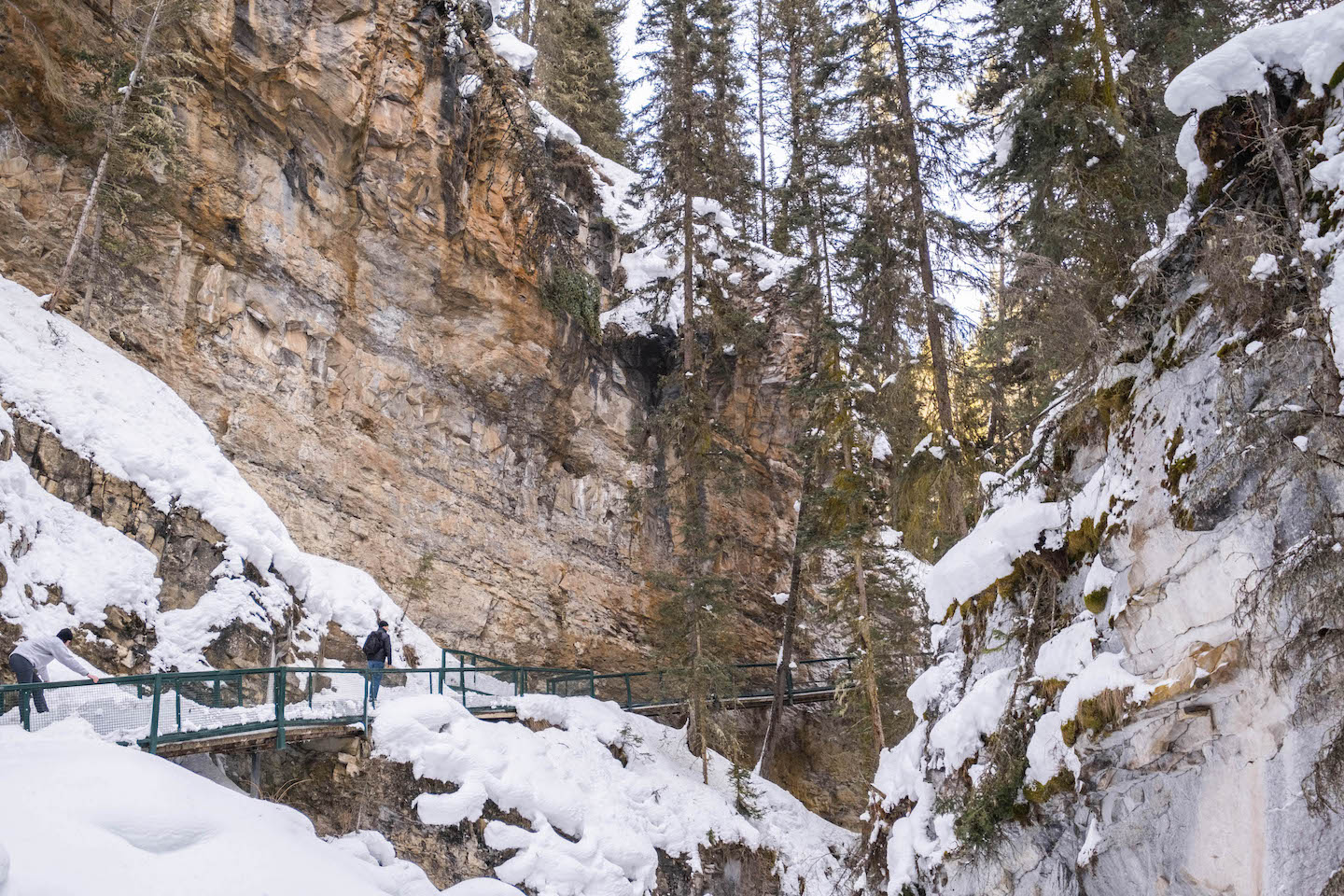 johnston canyon in winter